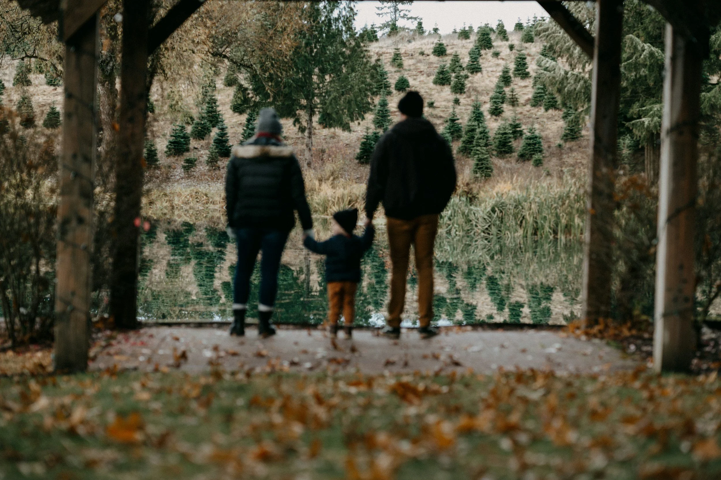 Family in the Adirondacks looking at Christmas Trees