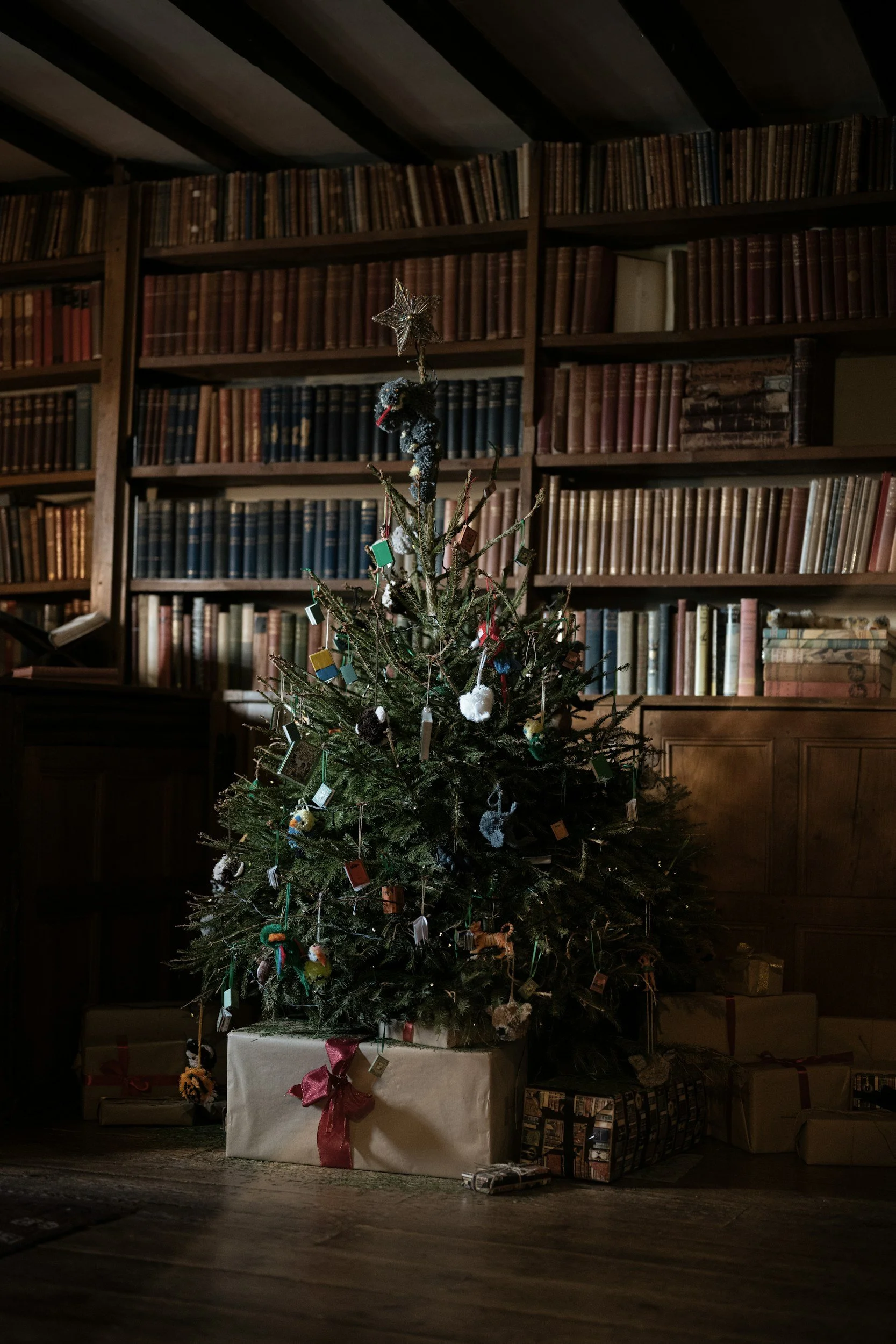 Traditional christmas tree.