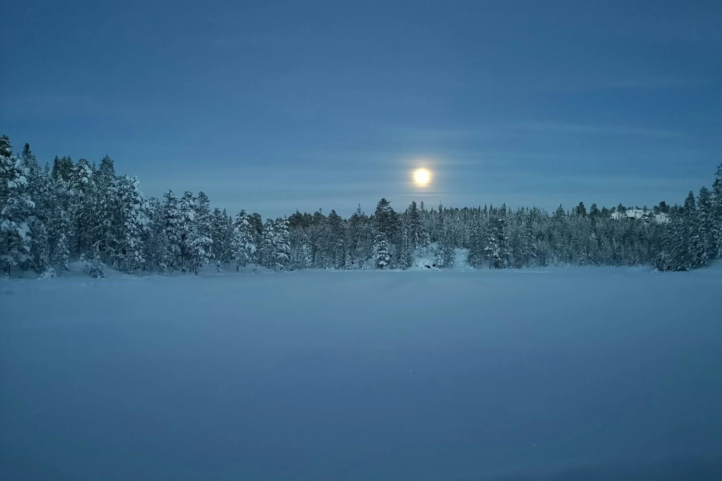 Full Moon Ski &amp; Snowshoe Party | Mt. Van Hoevenberg | January 3, 2026