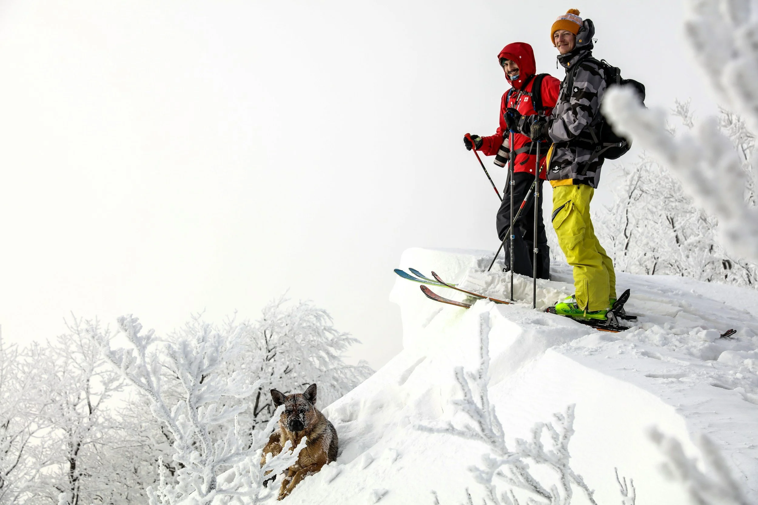 Photo of backcountry skiers like the ones in the Adirondacks.