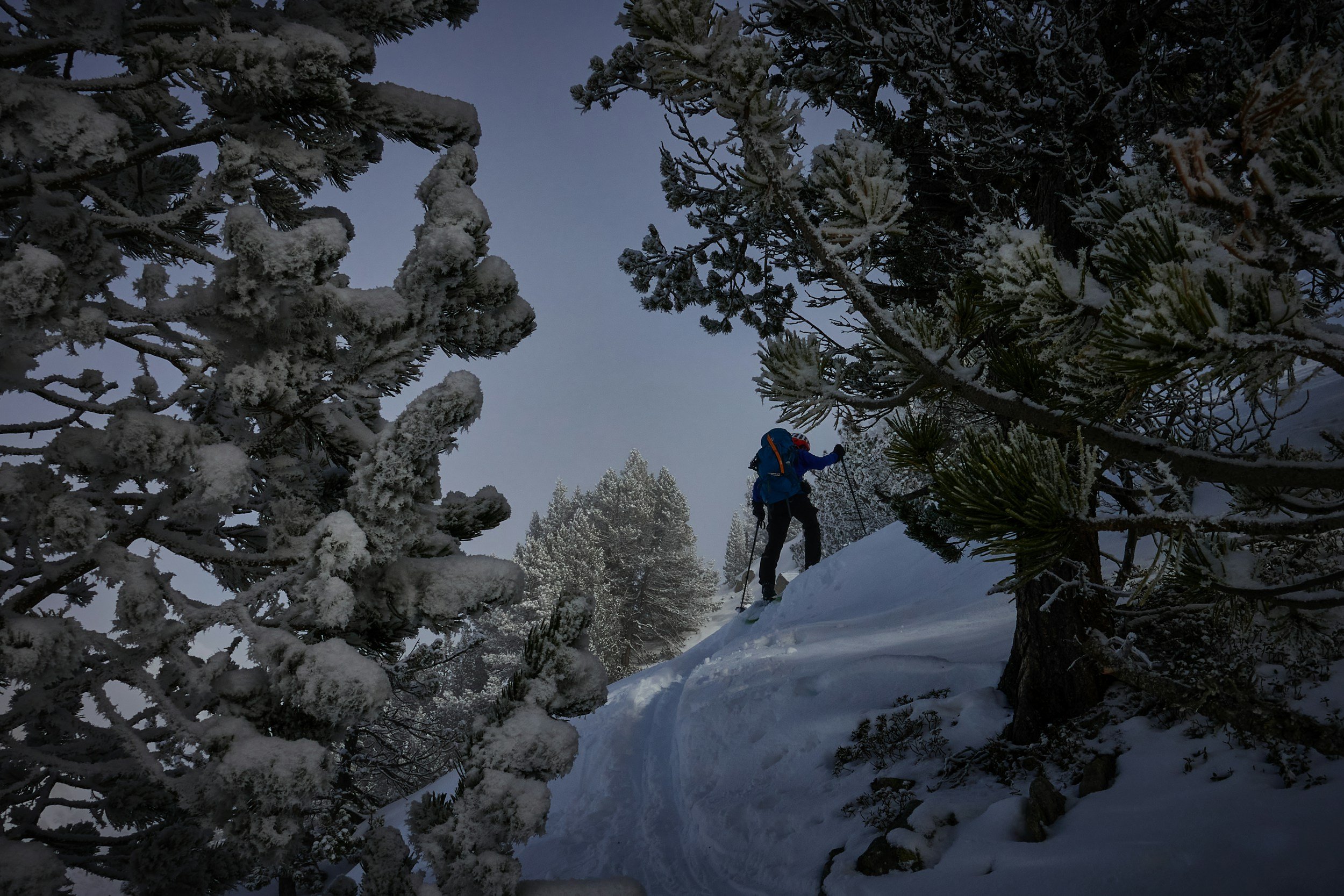 Backcountry hiker in the winter.