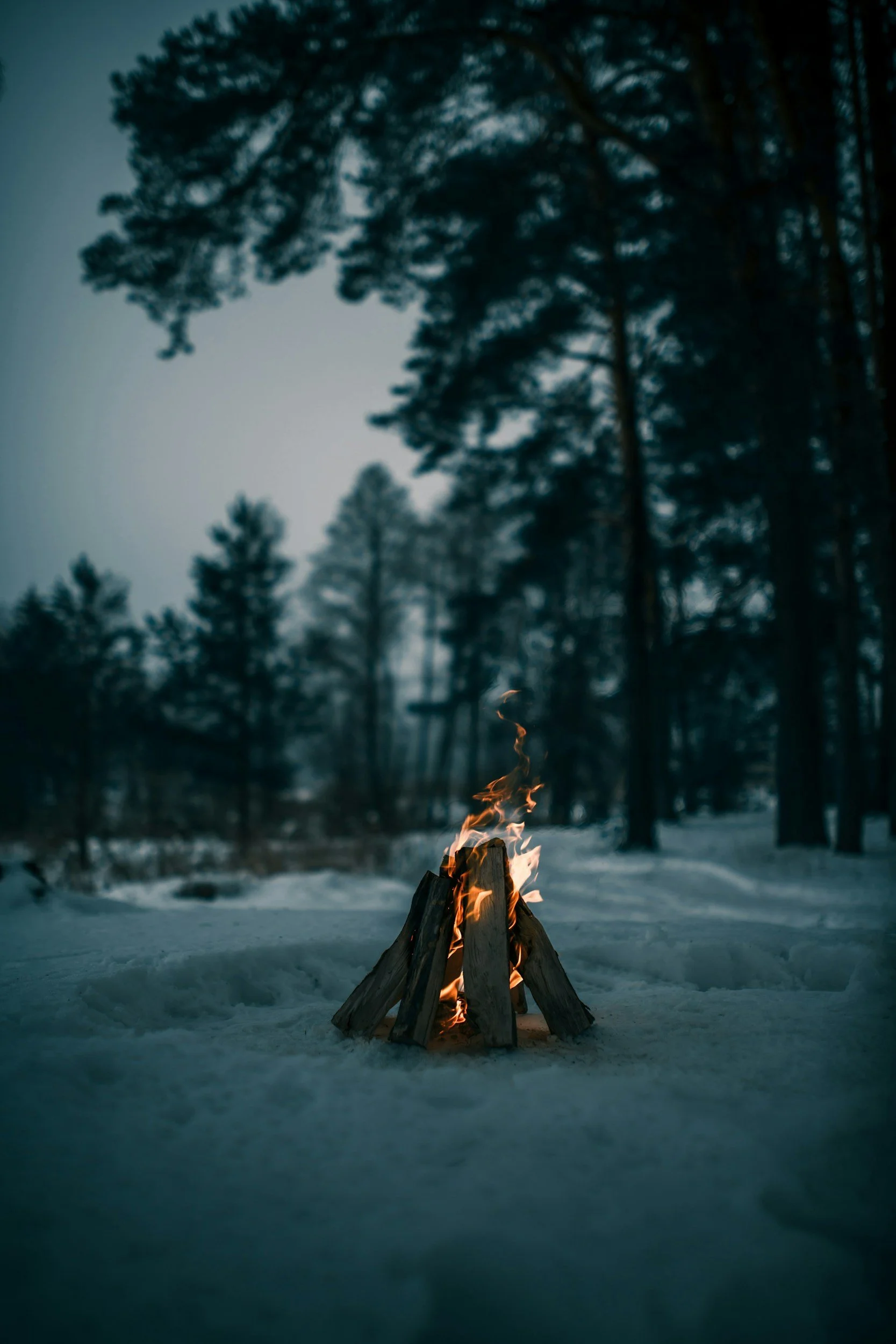 A warming bonfire on a winter night.