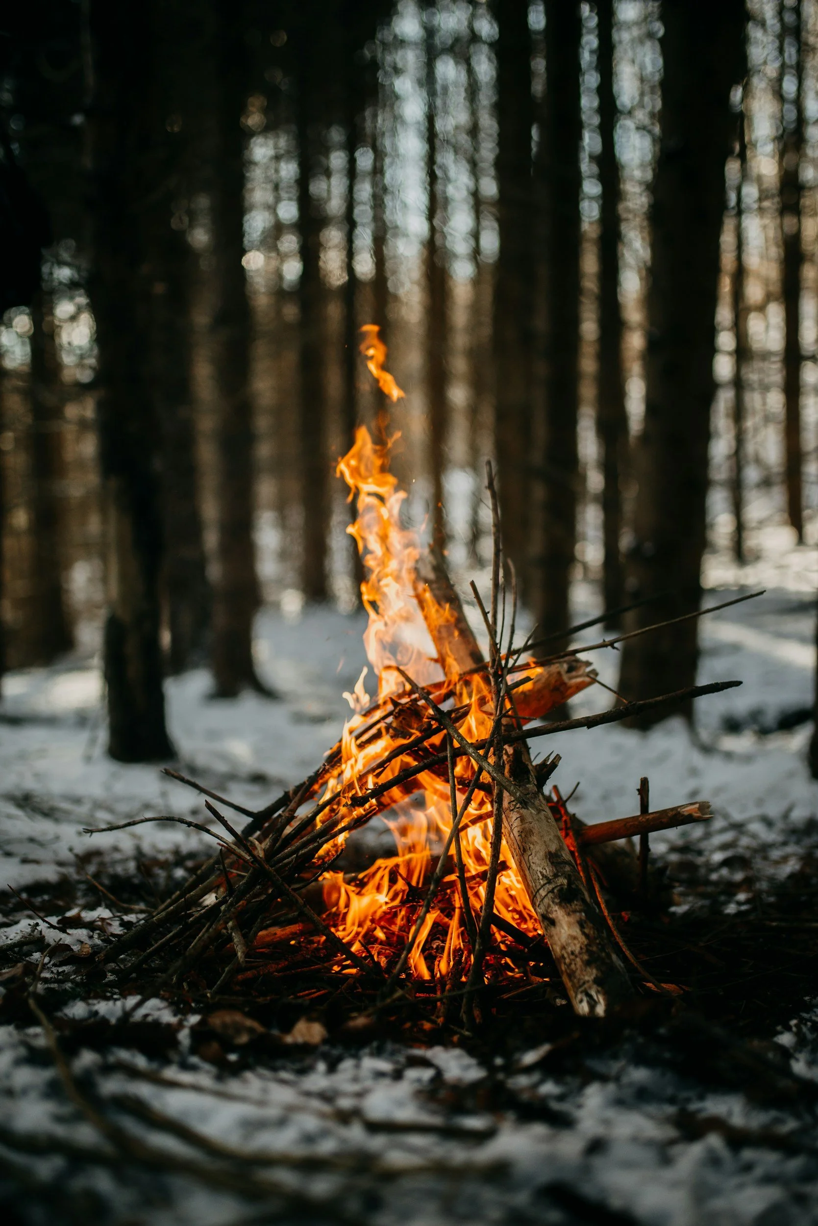 Image of a winter bonfire similar to those held over Winter WhiteOut Weekend in the Adirondacks.
