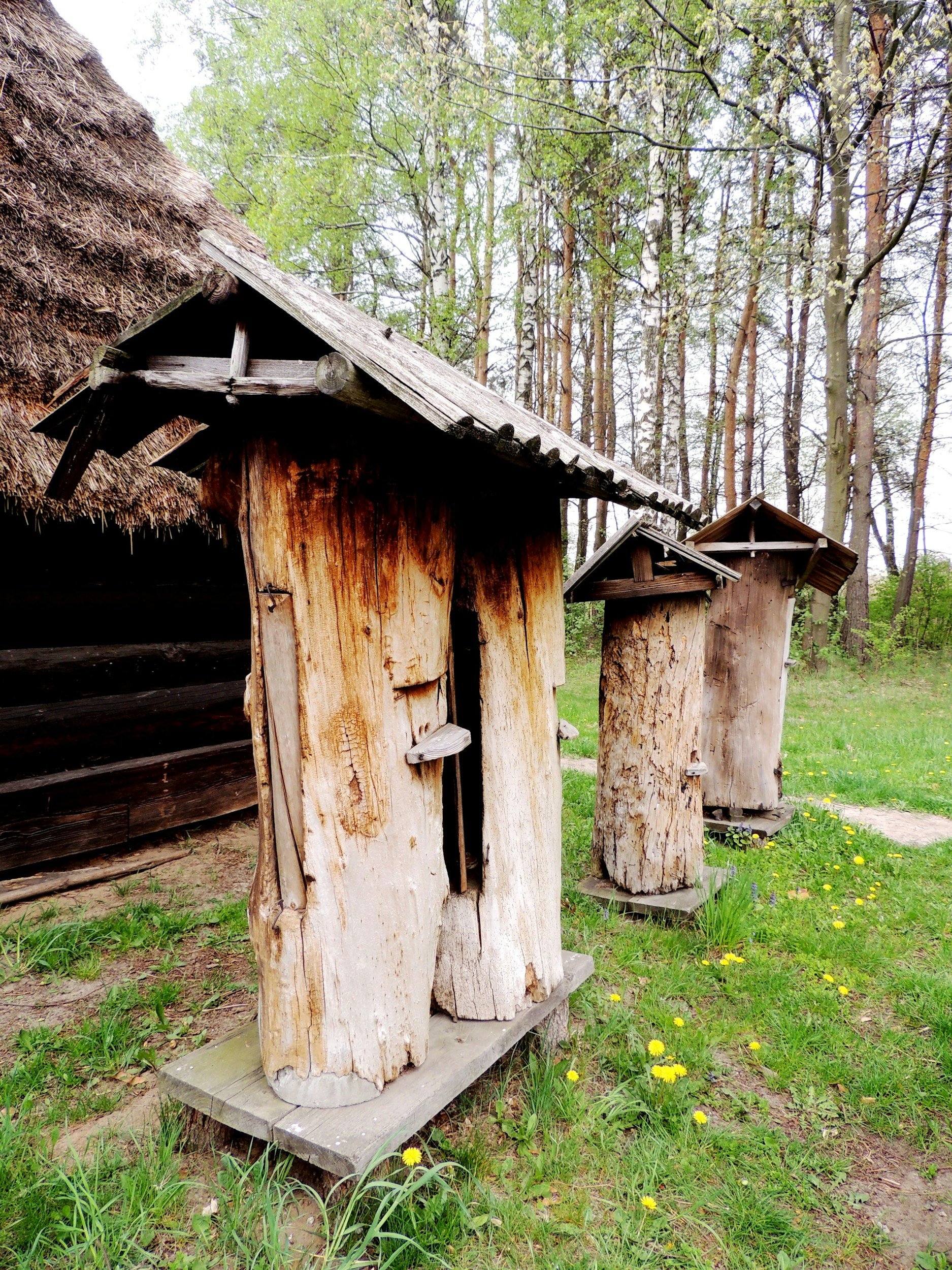 Log beehives similar to those shown in The Hive Architect in a short film in Lake Placid.