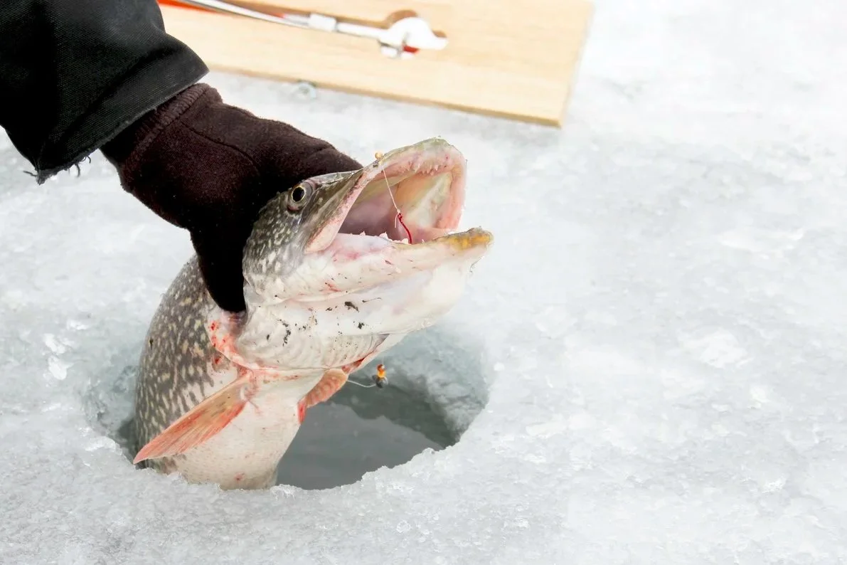 Schroon Lake Ice Fishing Derby | March 7-8, 2026