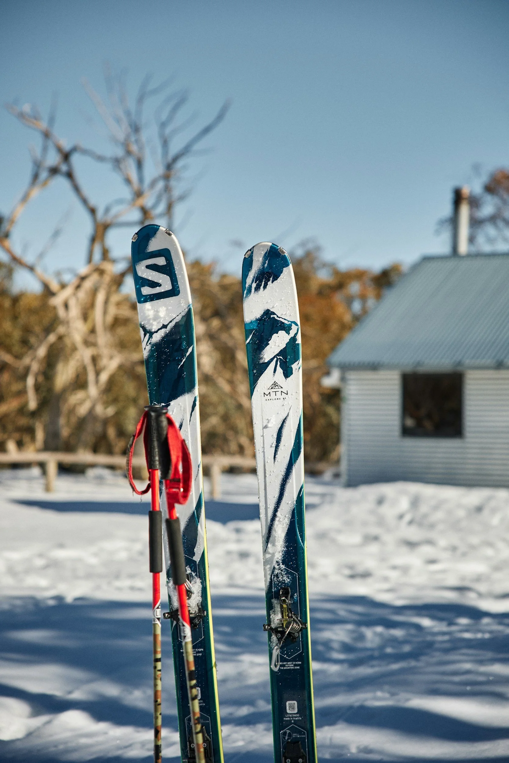 Image of Nordic skis and poles used in XC skiing