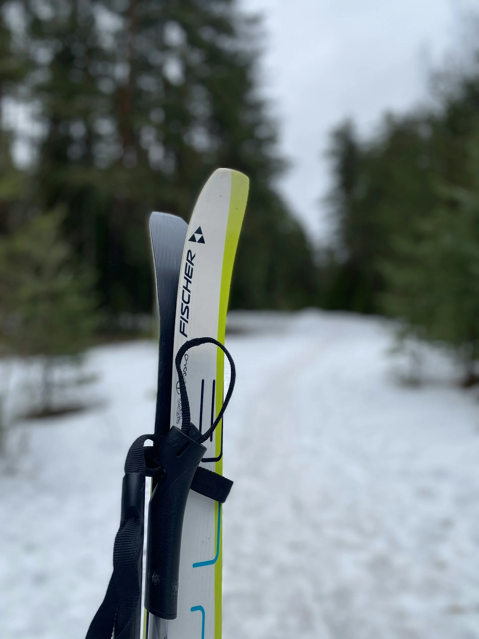 Relaxing spring skiing in the Adirondacks.