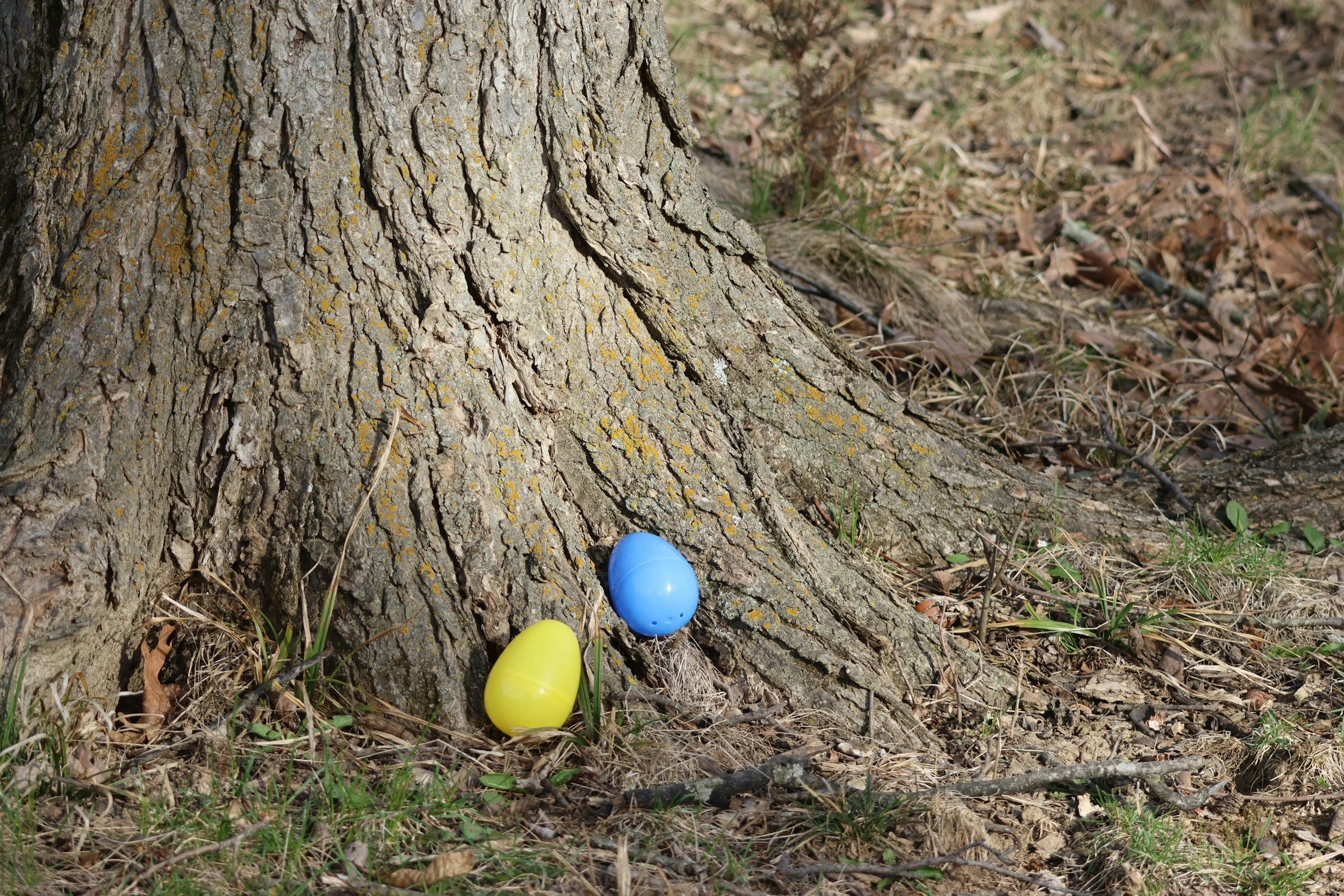 Easter in the Adirondacks: Where Spring Meets Tradition, Adventure, and a Little Bit of Magic