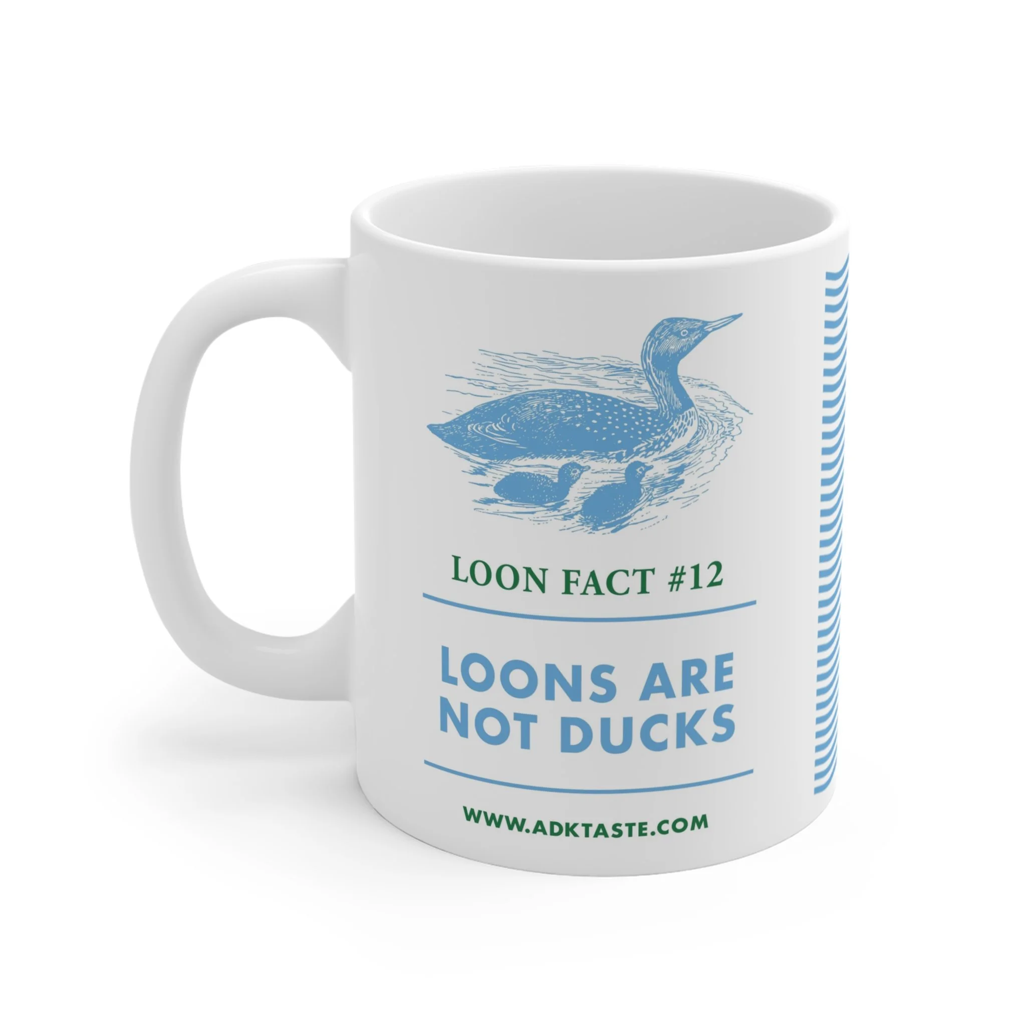 Loon Fact #12 Loons are Not Ducks.jpeg