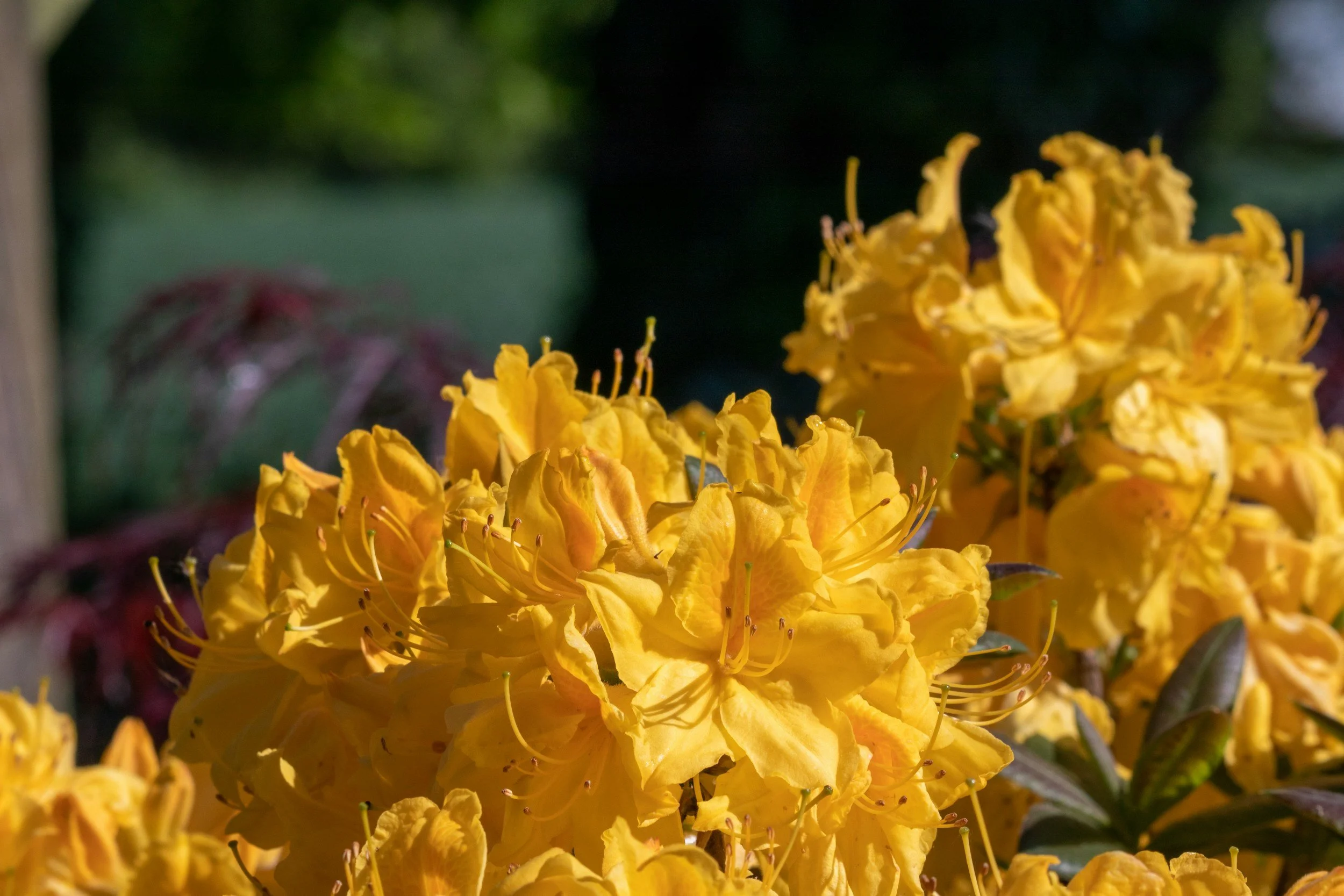 Spring floral sculpture at an art & flower fair.