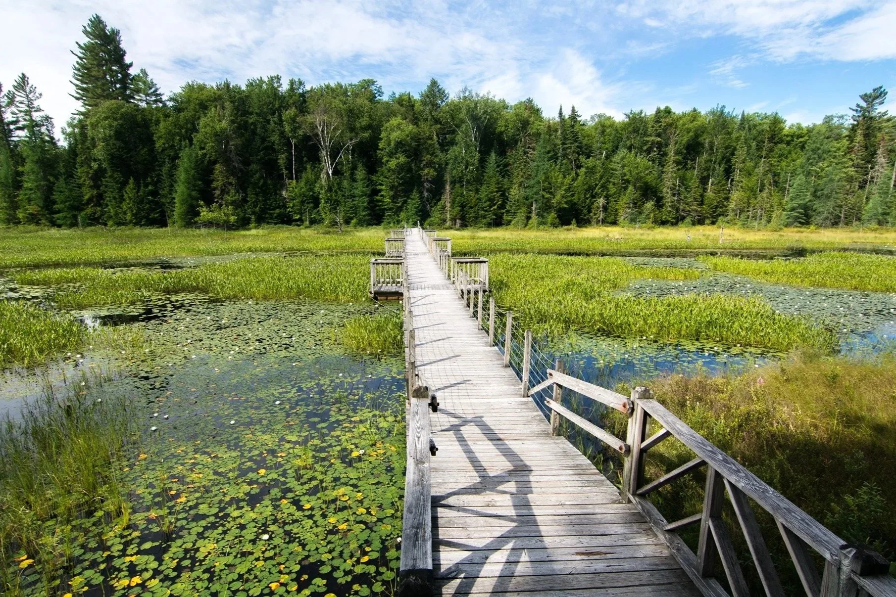 Paul Smith’s Visitor Interpretive Center in the Adirondacks