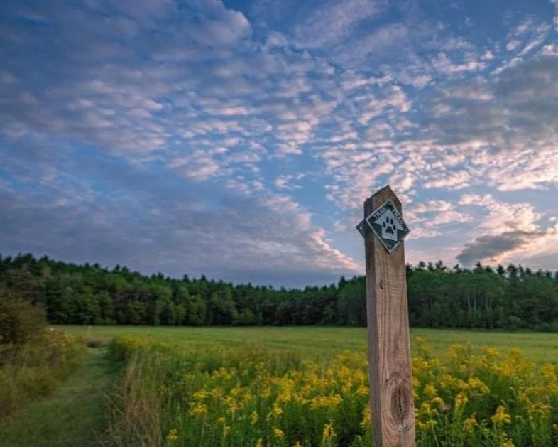 Champlain Area Trails Grand Hike | Whallonsburg | May 9, 2026