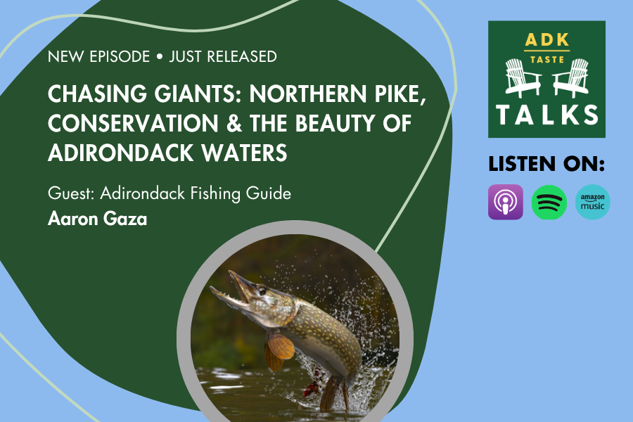 Chasing Giants: Northern Pike, Conservation &amp; the Beauty of Adirondack Waters