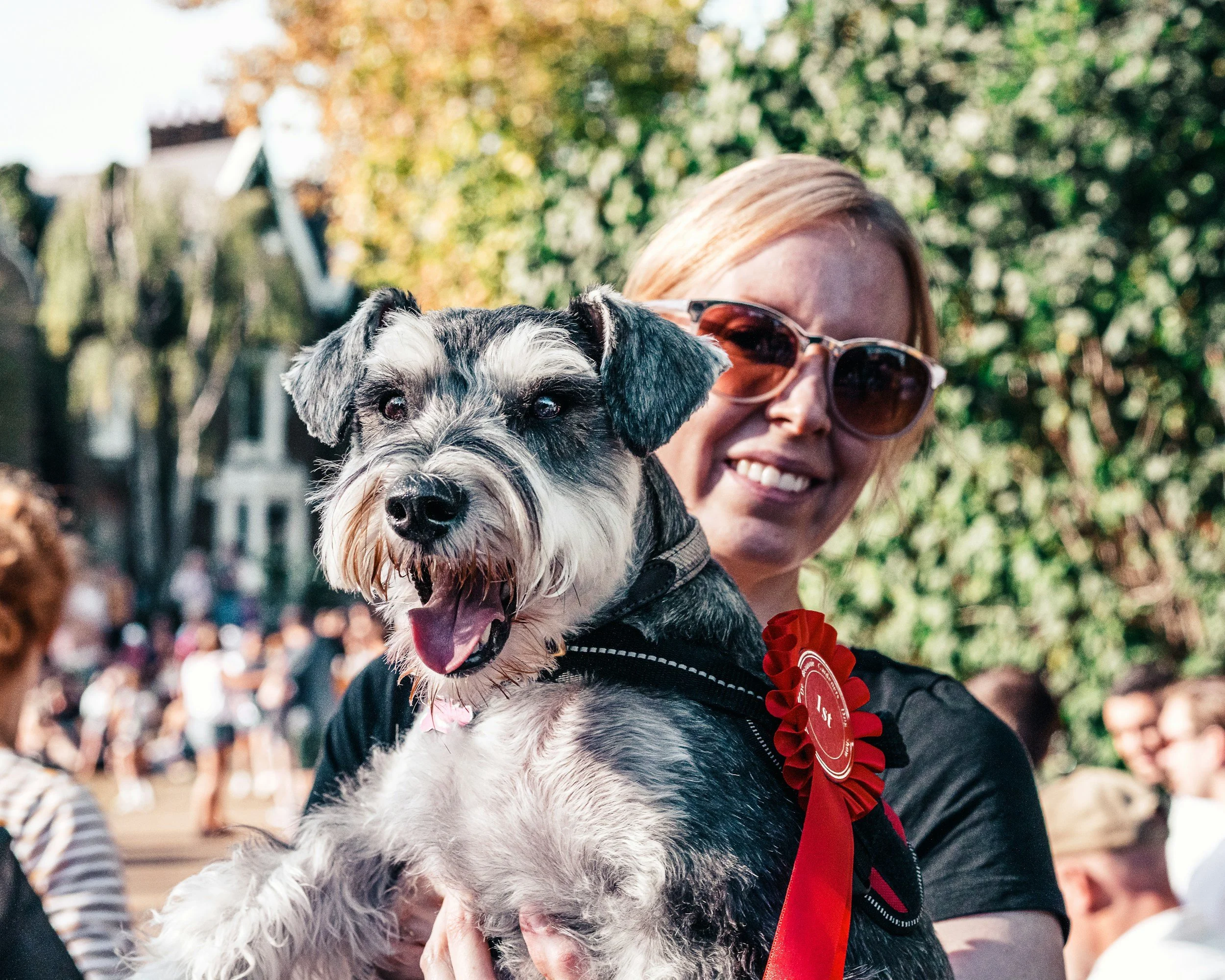Dog at Pet Fest in Glen Falls City Park