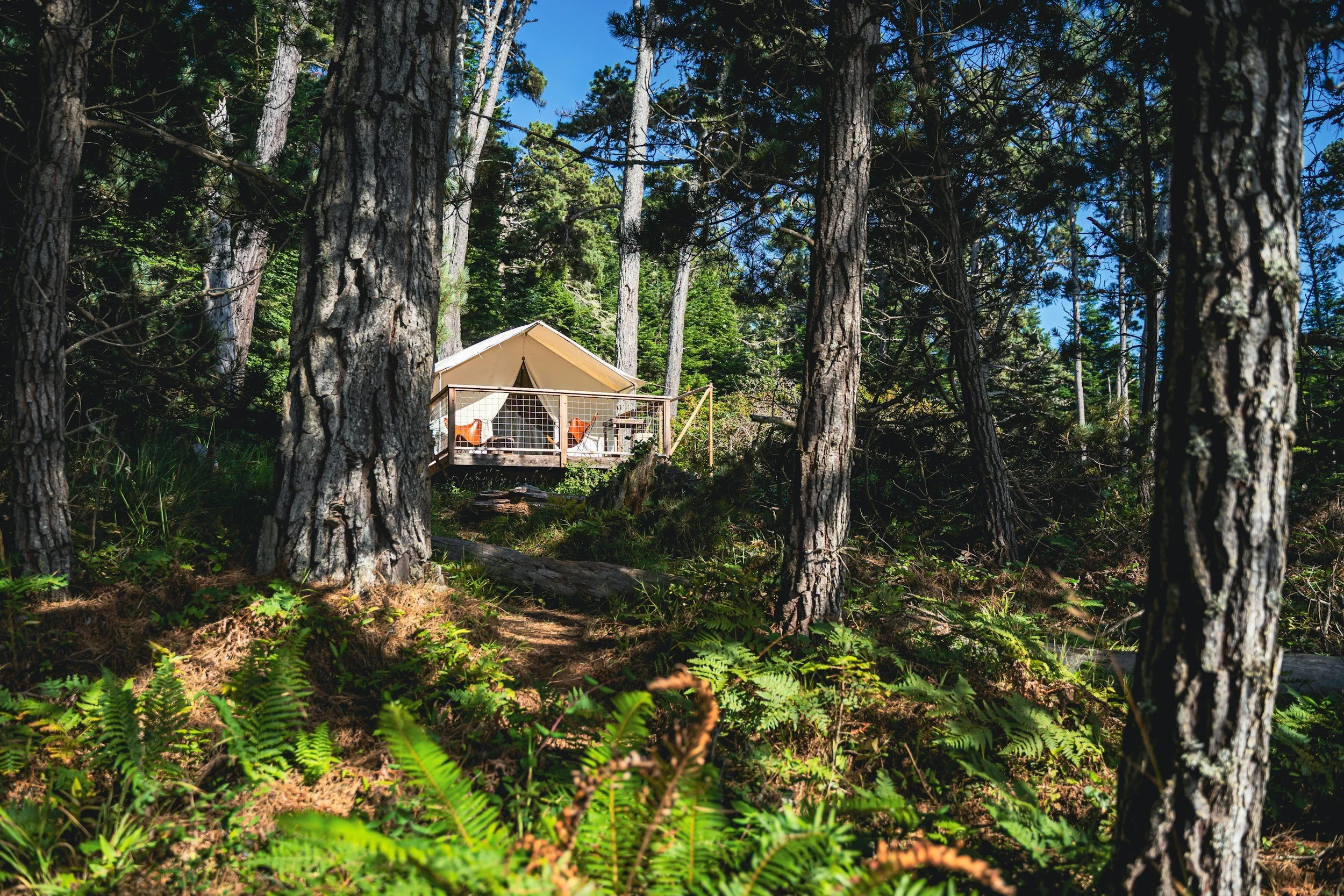Glamping site in the Adirondacks.