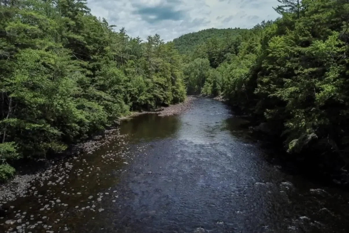 The Adirondacks Just Shifted Into Summer—Here's Where to Be This Weekend