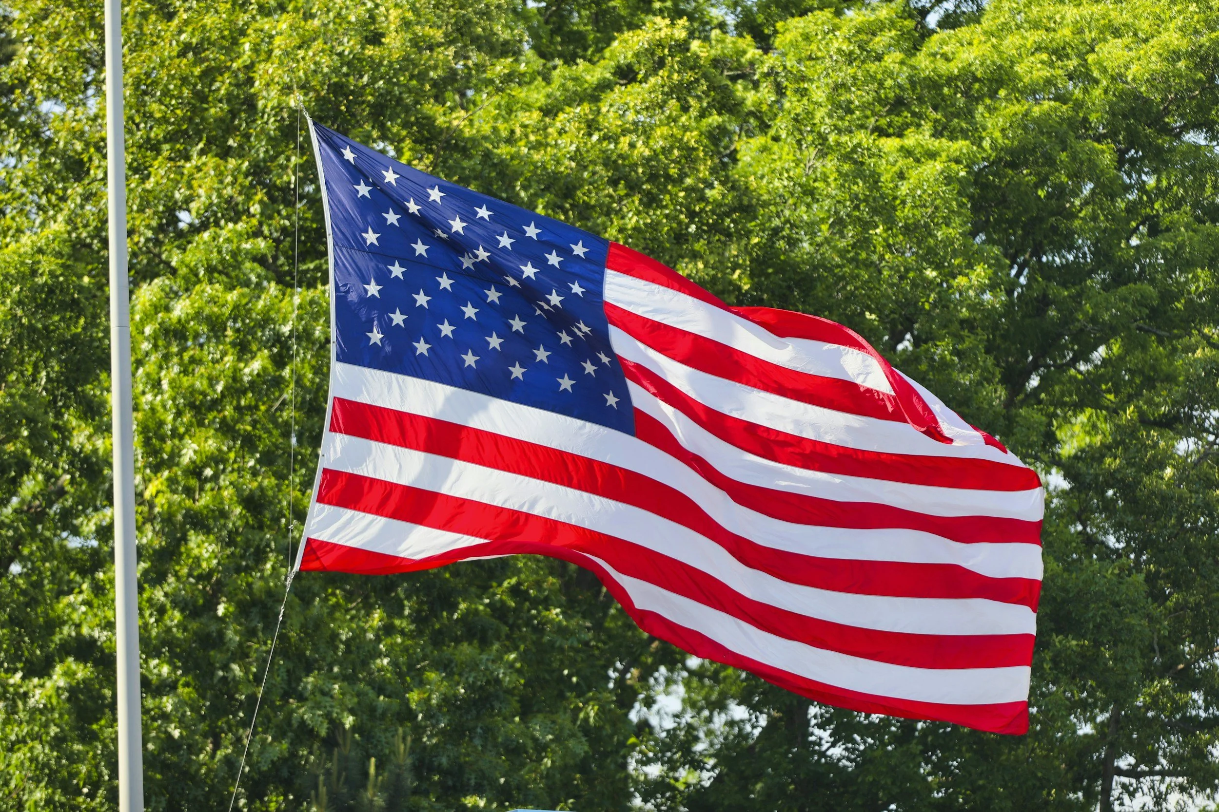 American flag flying against a backdrop of leafy trees.