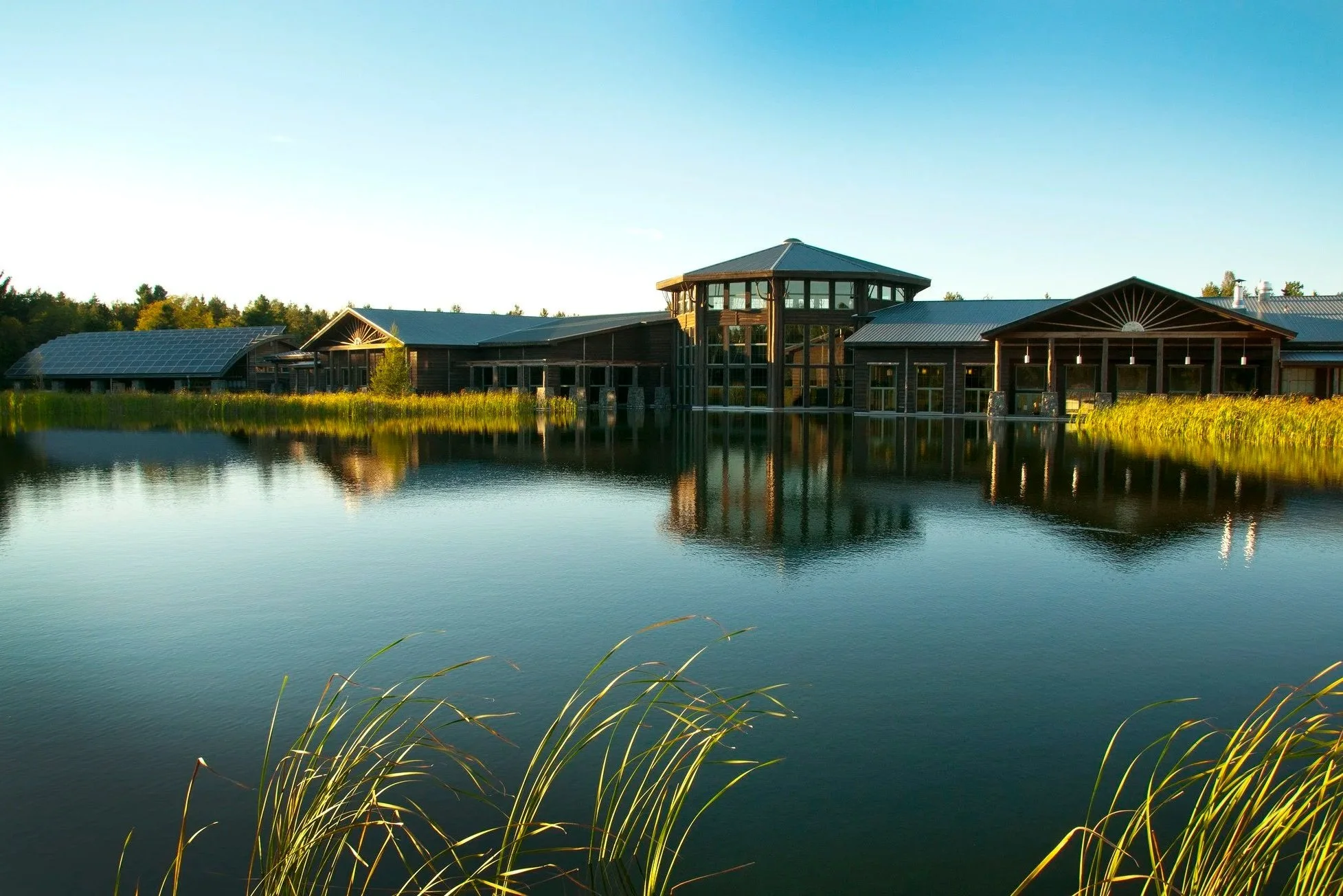 The Wild Center at 20: The Adirondacks' Incredible Success Story