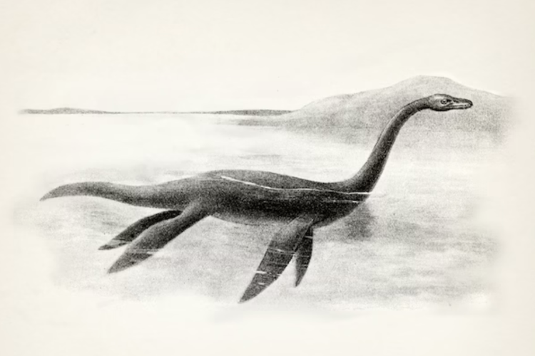 Every Adirondack Town Has a Story. Port Henry's Happens to Be a Lake Monster