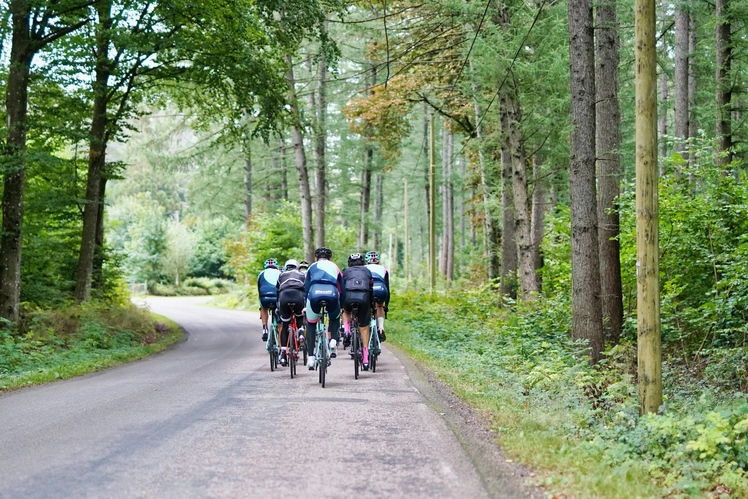 A group of bikers traveling through the wilderness of the Adirondacks.