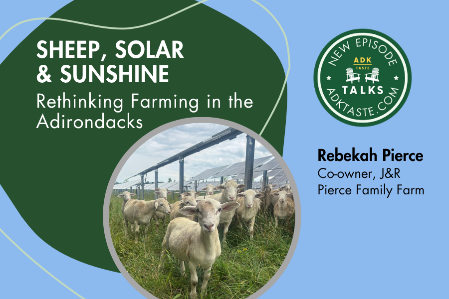 Sheep, Solar &amp; Sunshine: Rethinking Farming in the Adirondacks
