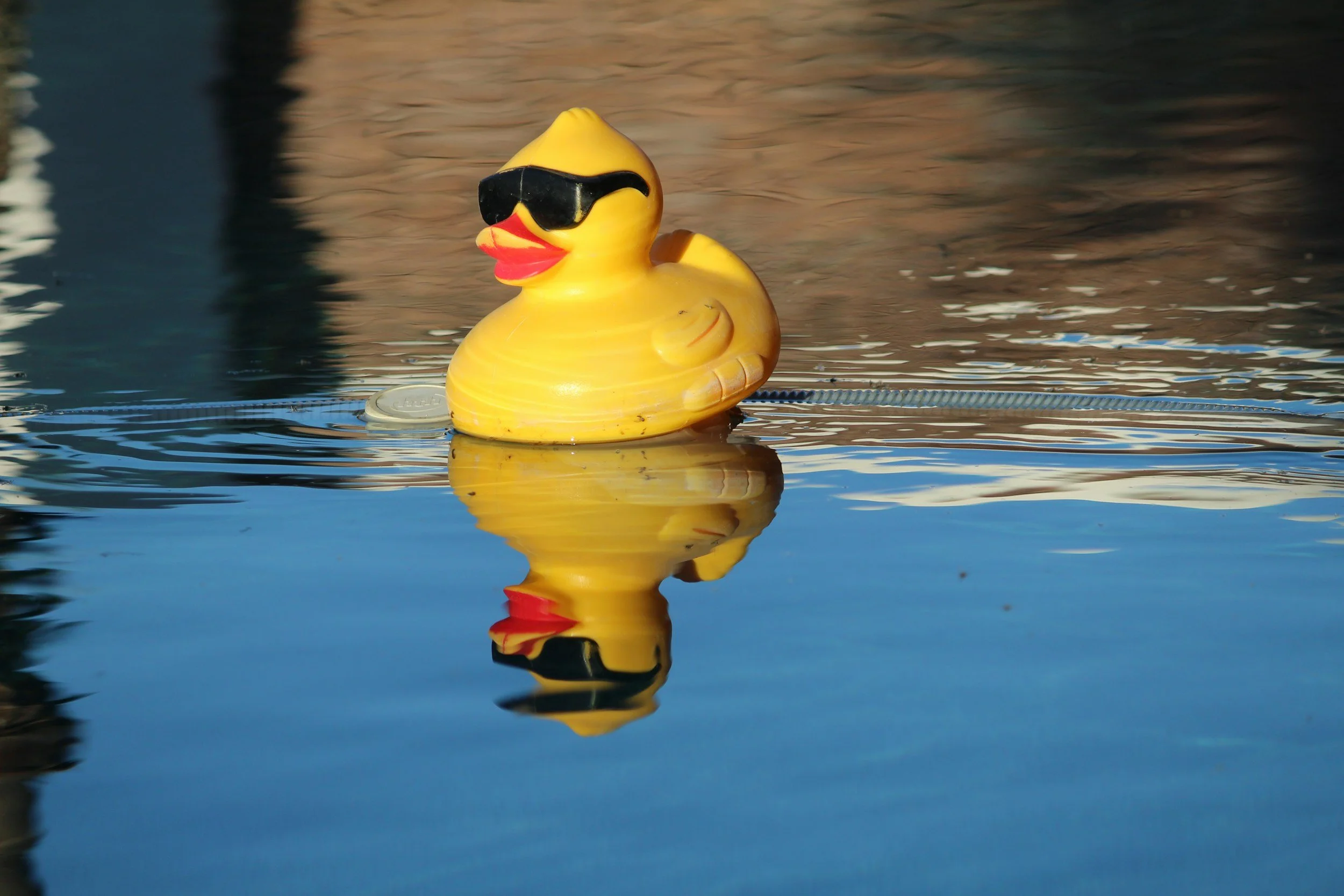 Rubber Duck floating in an Adirondack river.