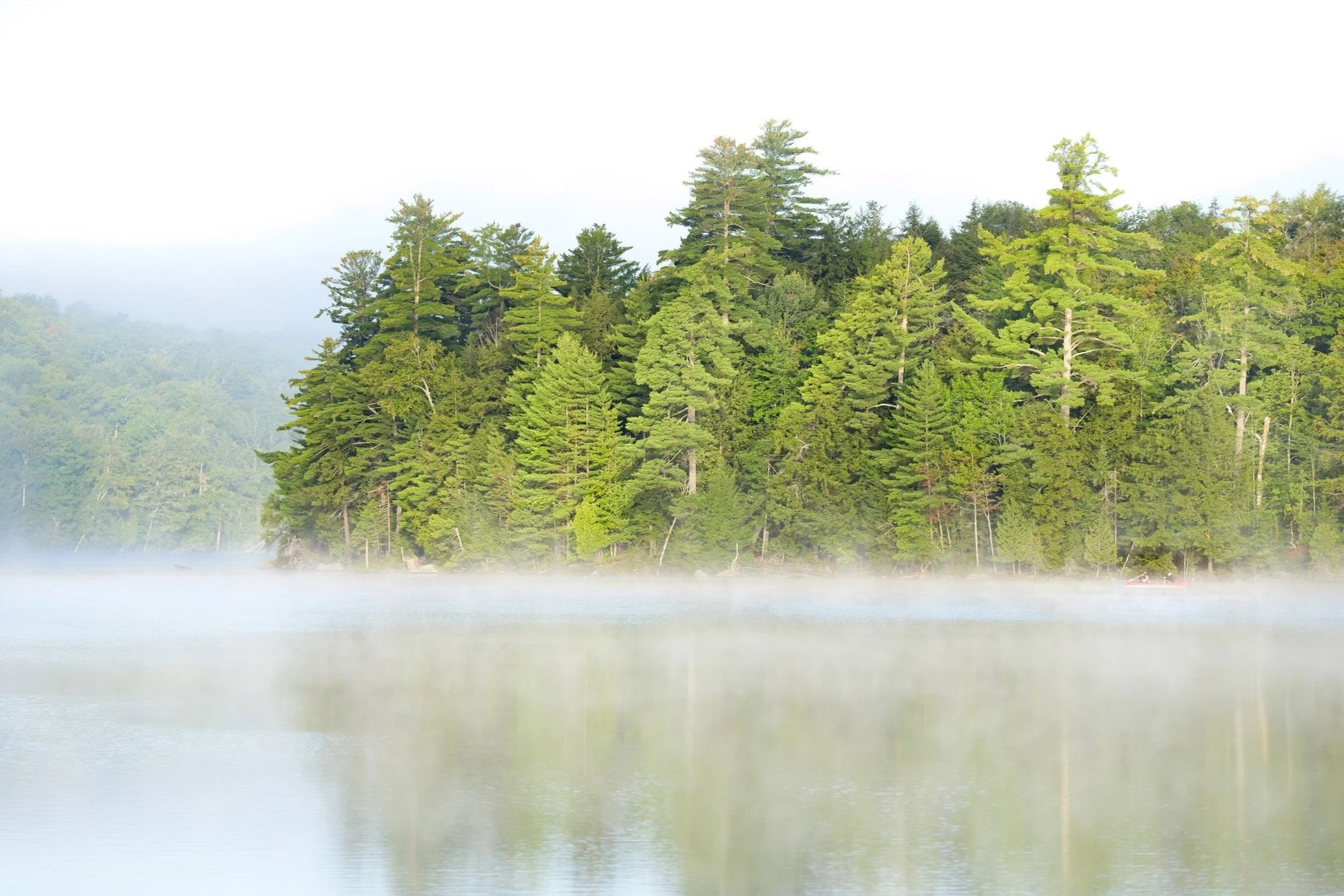 Albert Einstein in the Adirondacks: His Summers on Saranac Lake
