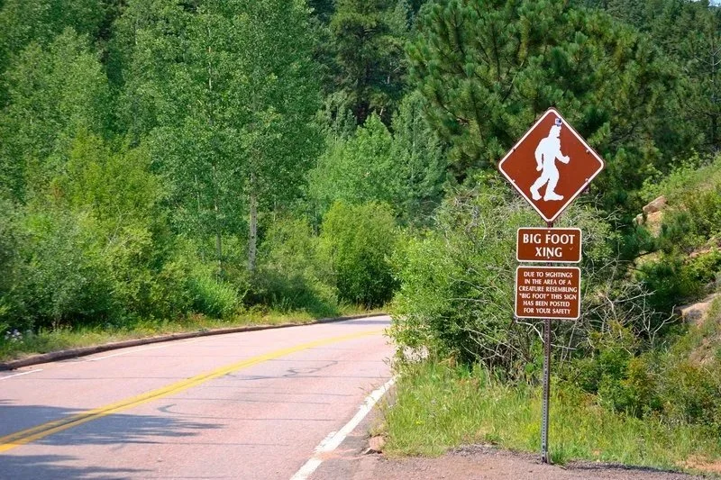 Sasquatch in the Adirondacks: Bigfoot Sightings, Legends and the Search for Answers