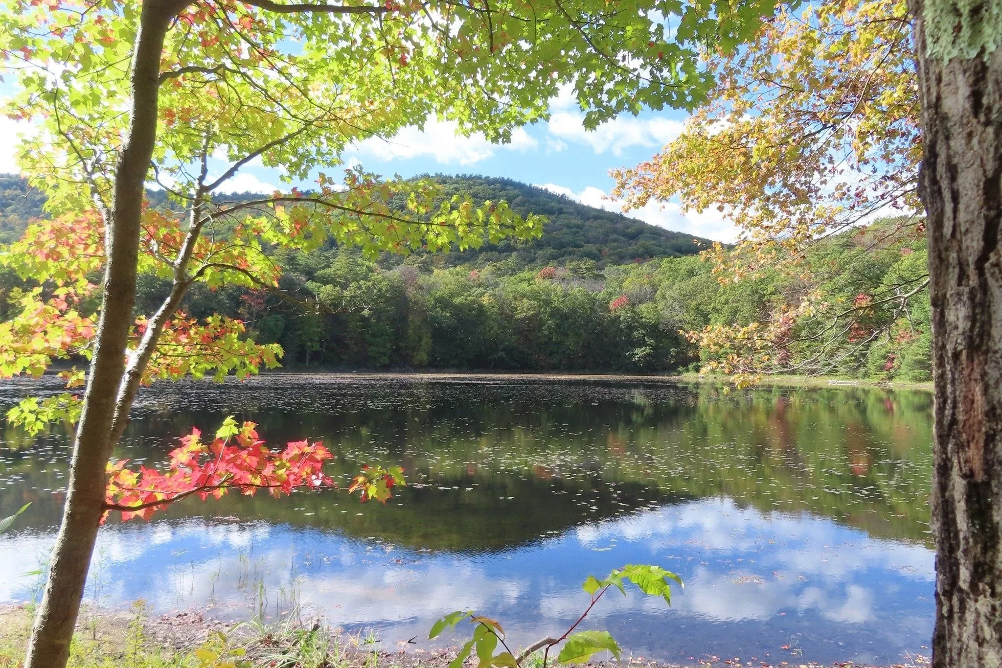 NatureFest | Moreau Lake State Park | September 19, 2026