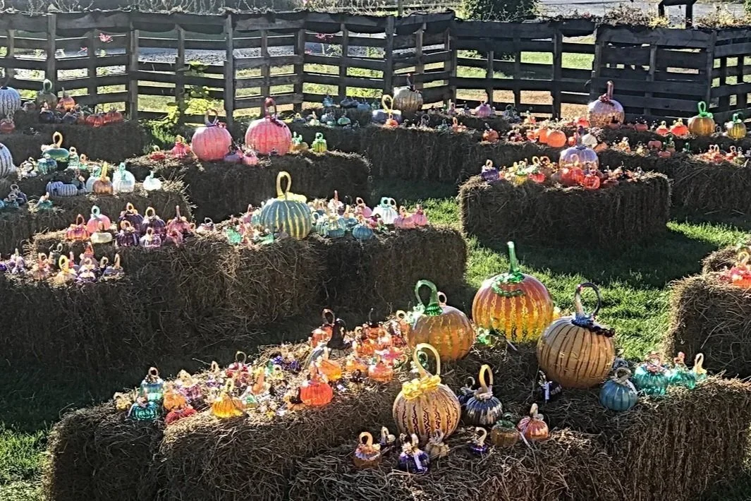 Bolton Landing | Glass Pumpkin Patch | October 9-11, 2026
