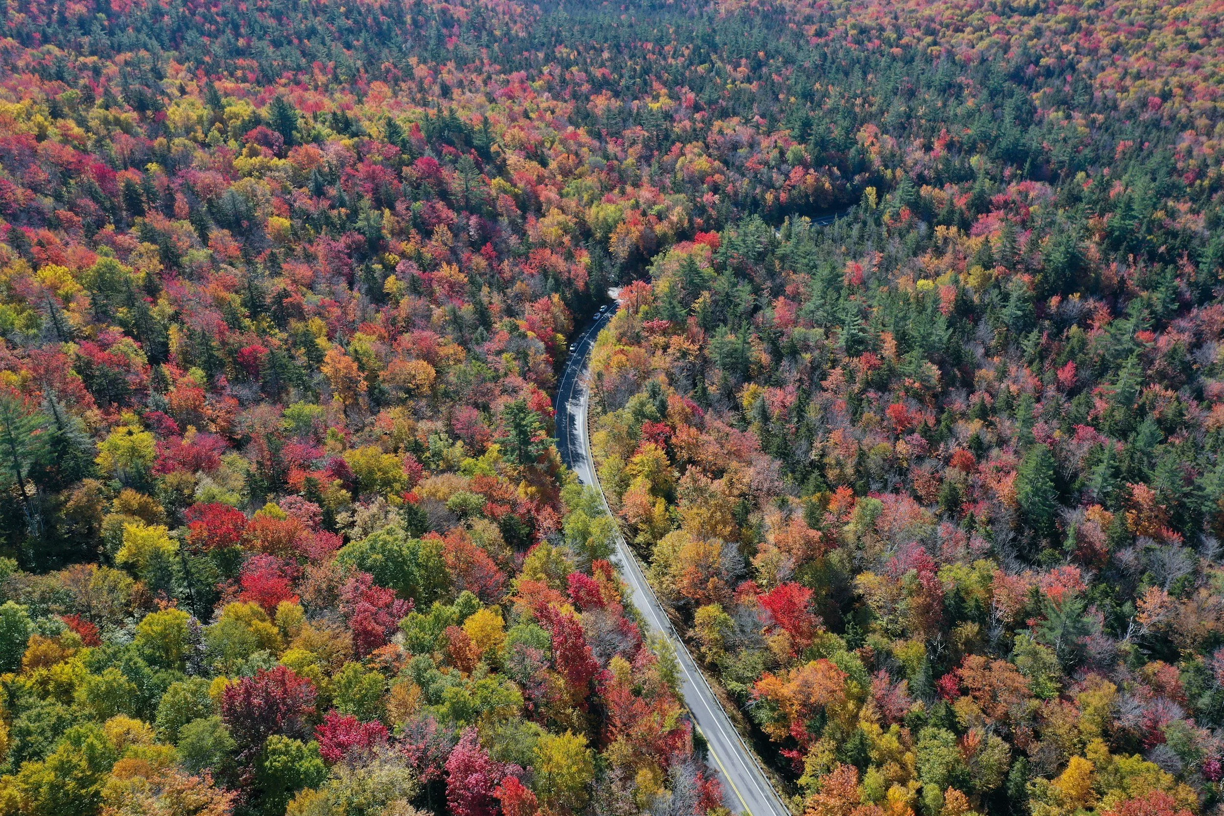 Fall foliage near Malone, NY