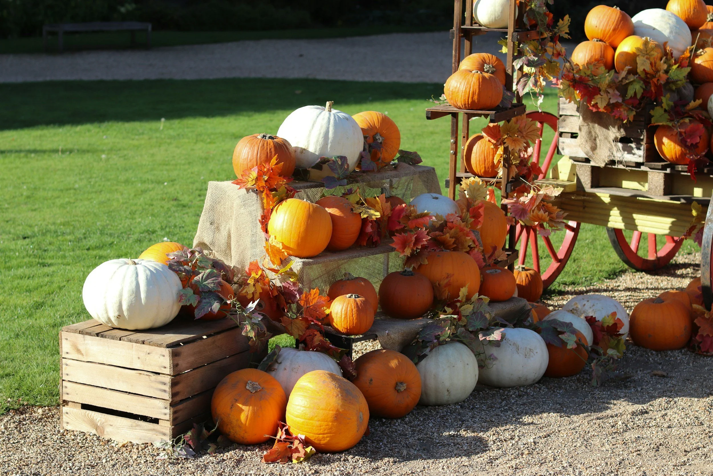 Pumpkins on display at a harvest festival in the Adirondacks.