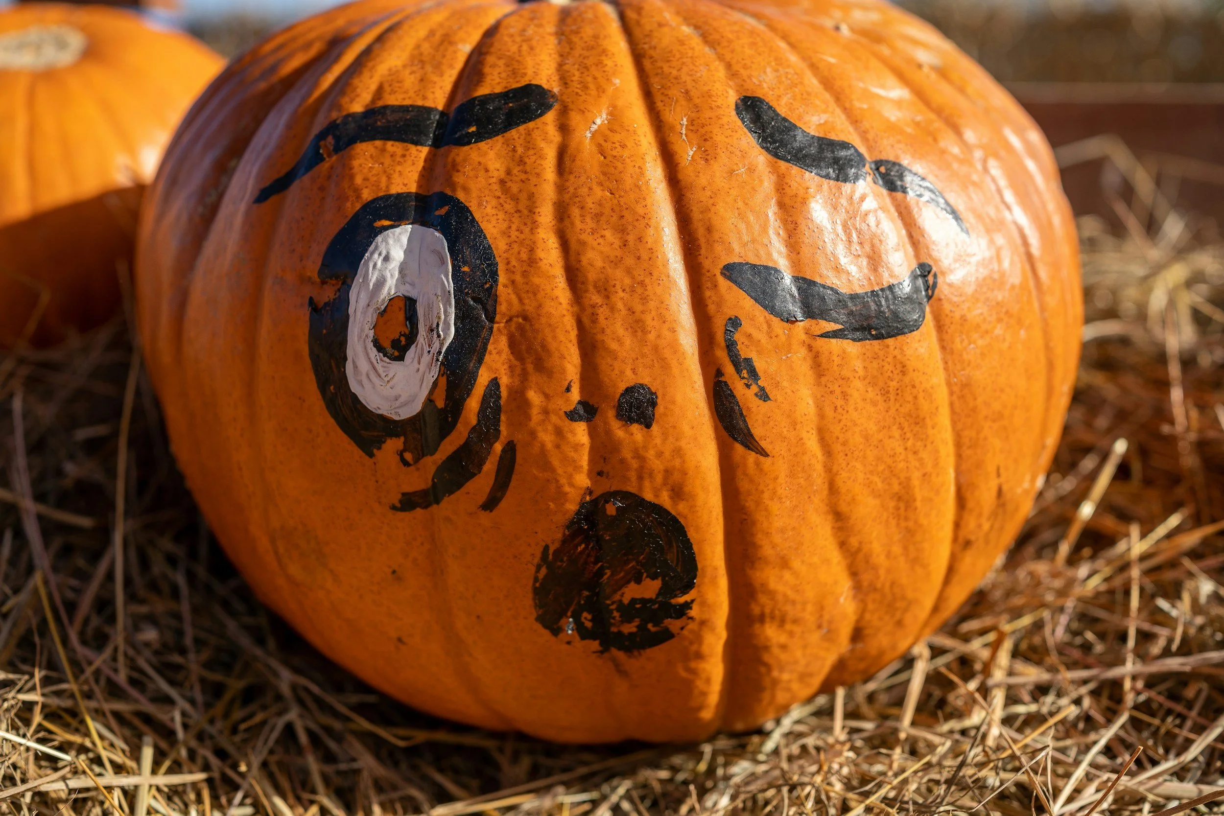 West Mountain Fall Festival Weekends | Queensbury, NY | October 10-25, 2026