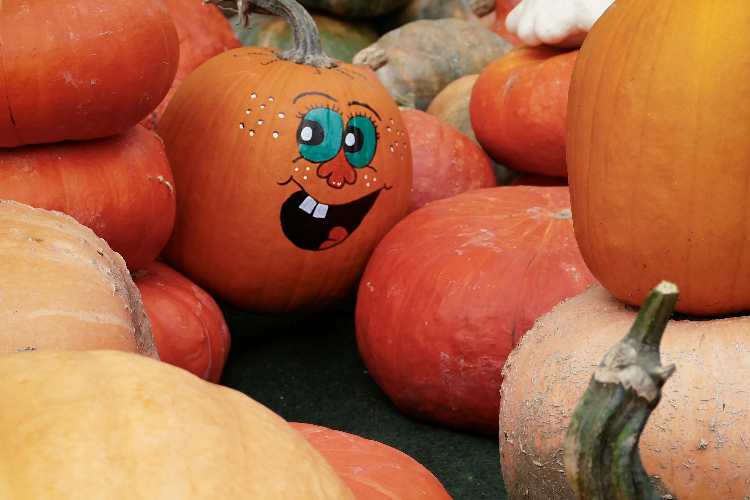 Painted pumpkins at the Fall for Schroon Lake Festival.