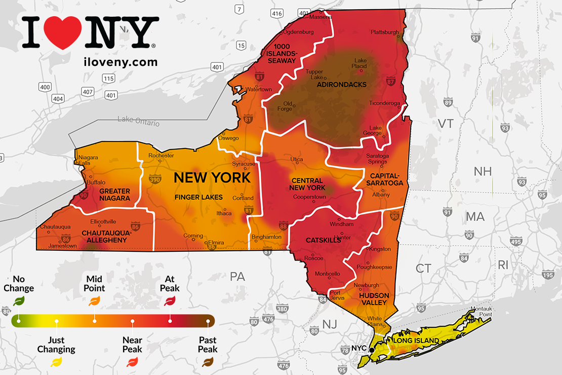 Adirondack Fall Foliage Report: Where to See the Best Color This Week