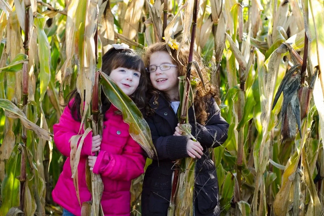 Epic Corn Maze | Fort Ticonderoga | Now to October 31, 2026