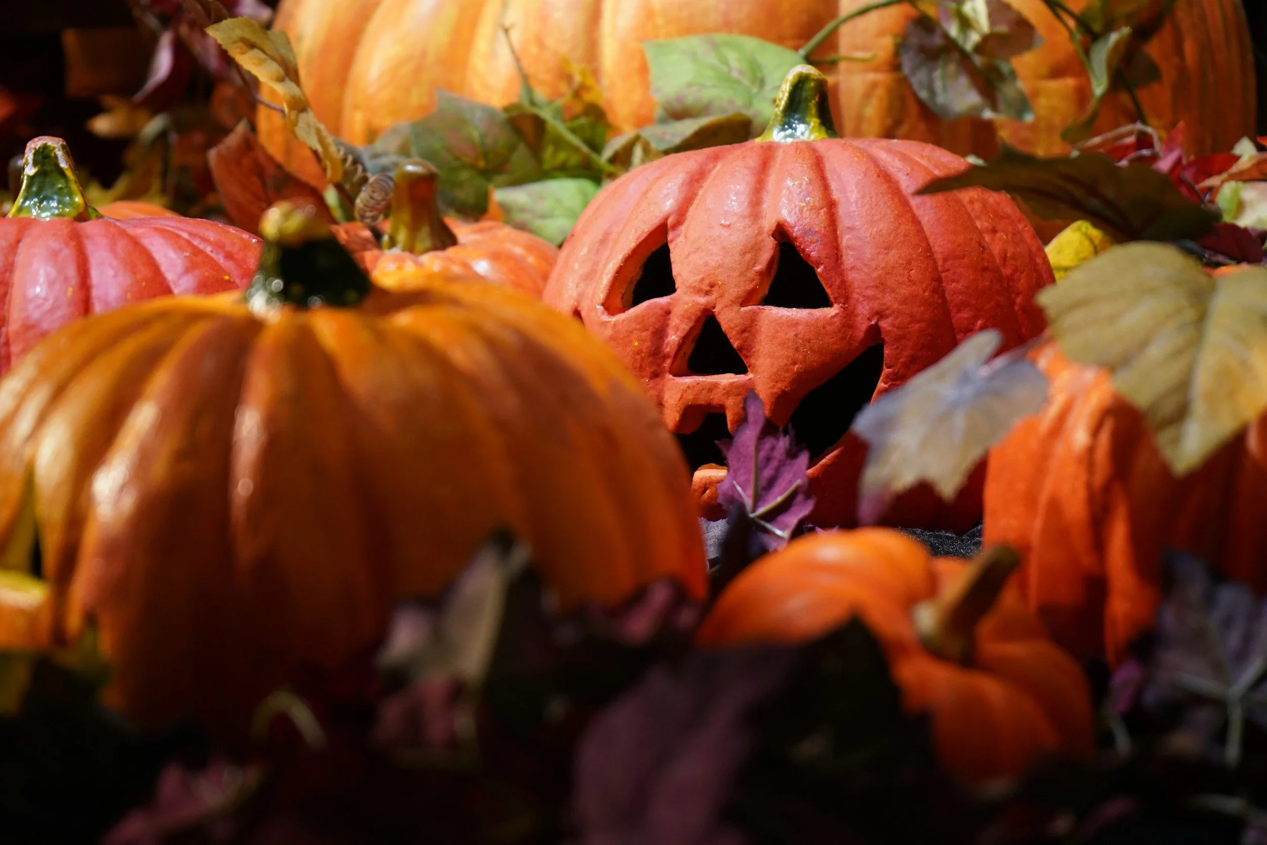 Decorations and pumpkins at a halloween party