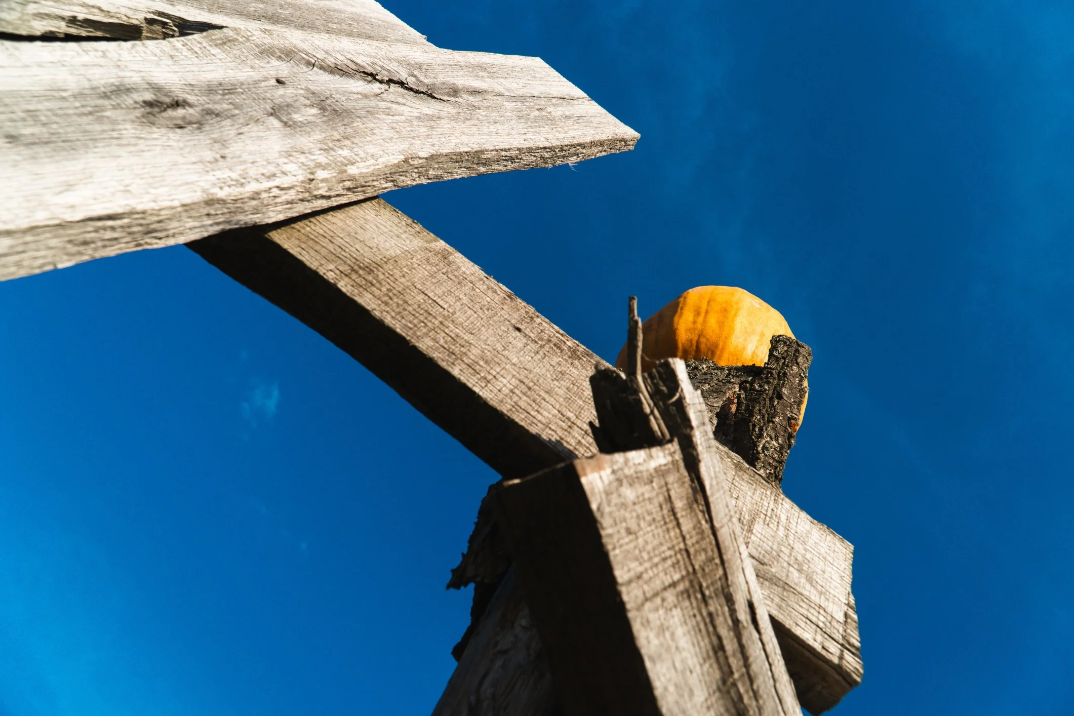 Pumpkin Chunkin’ | Lake George | November 7, 2026