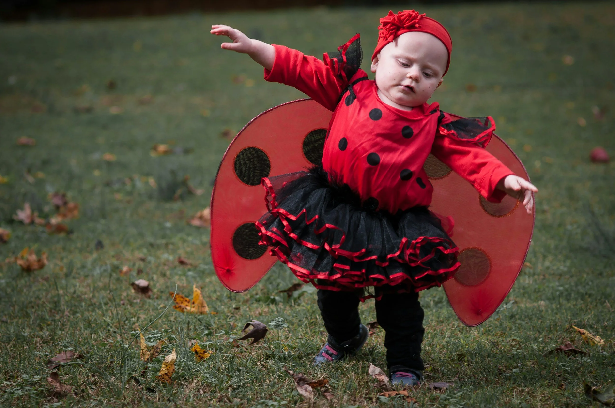 Young girl dressed in Halloween costume as a lady bug.