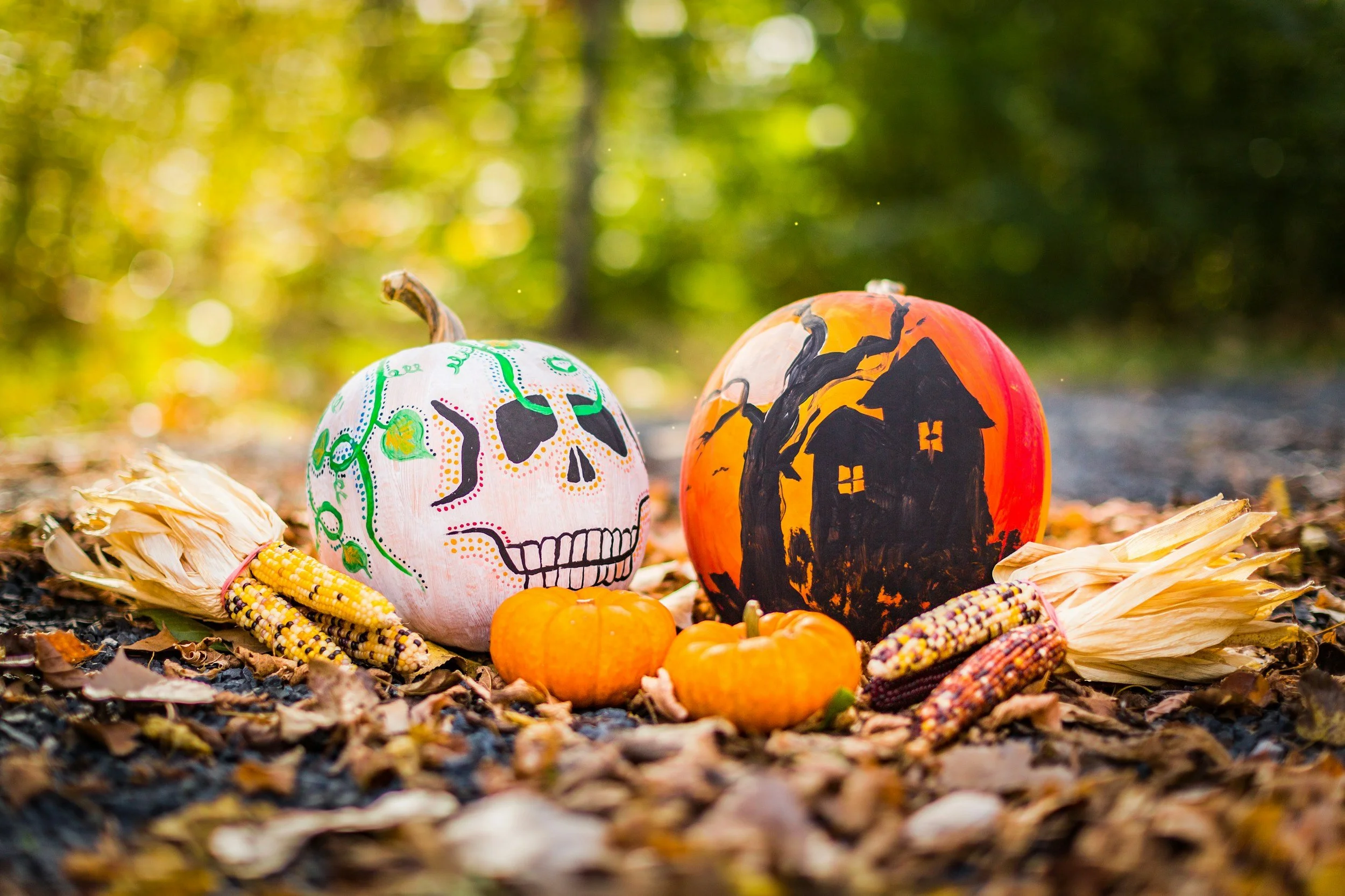 Painted halloween pumpkins.
