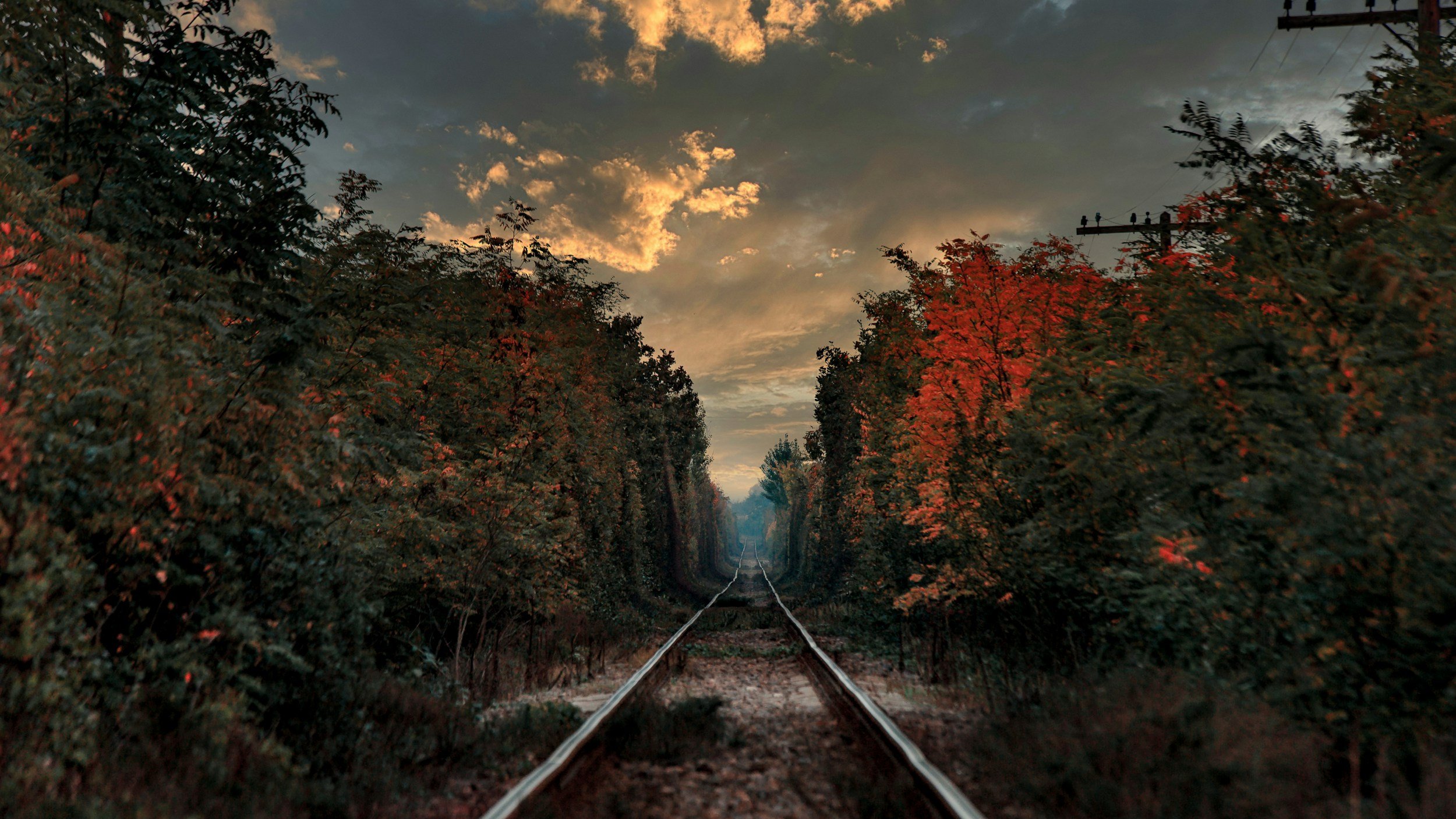 Railroad trail in the fall