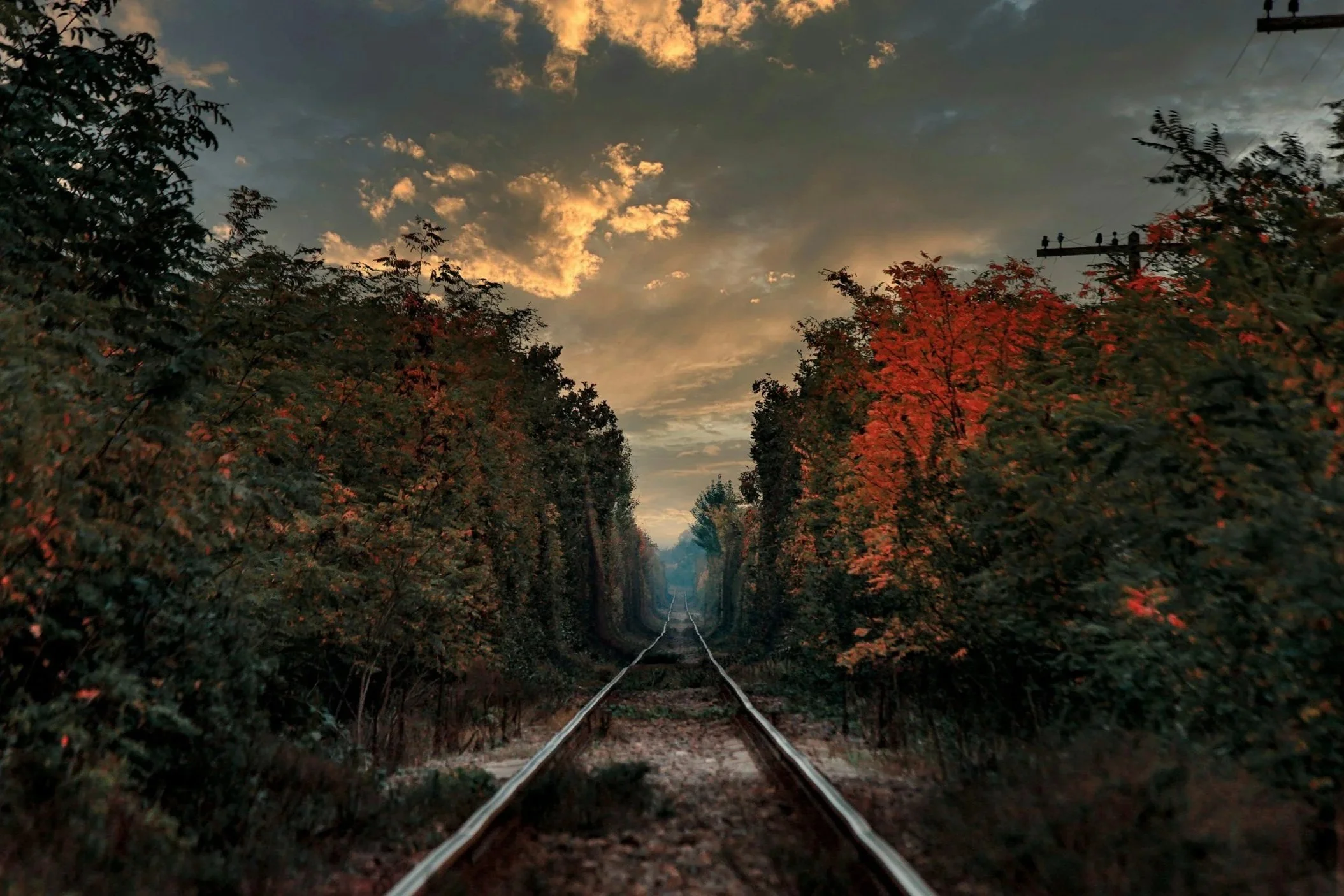 Haunted Rail Trail | North Creek | October 30 &amp; 31, 2026
