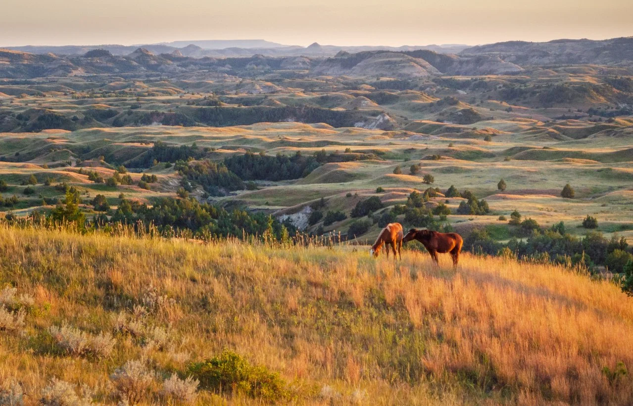 Landscape of the Theodore Roosevelt National Park in the Badlands.
