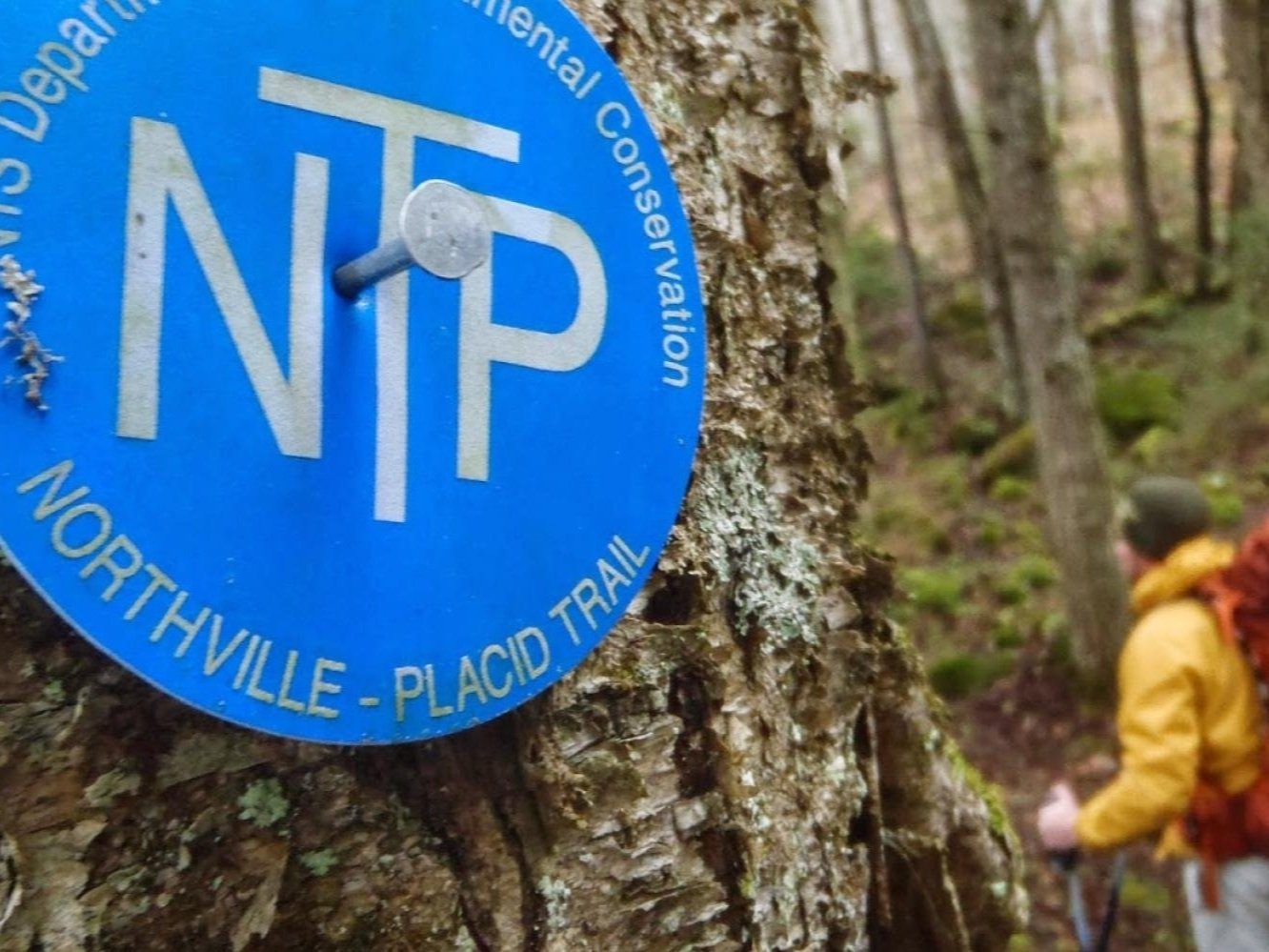 The Adirondacks' Northville-Placid Trail.