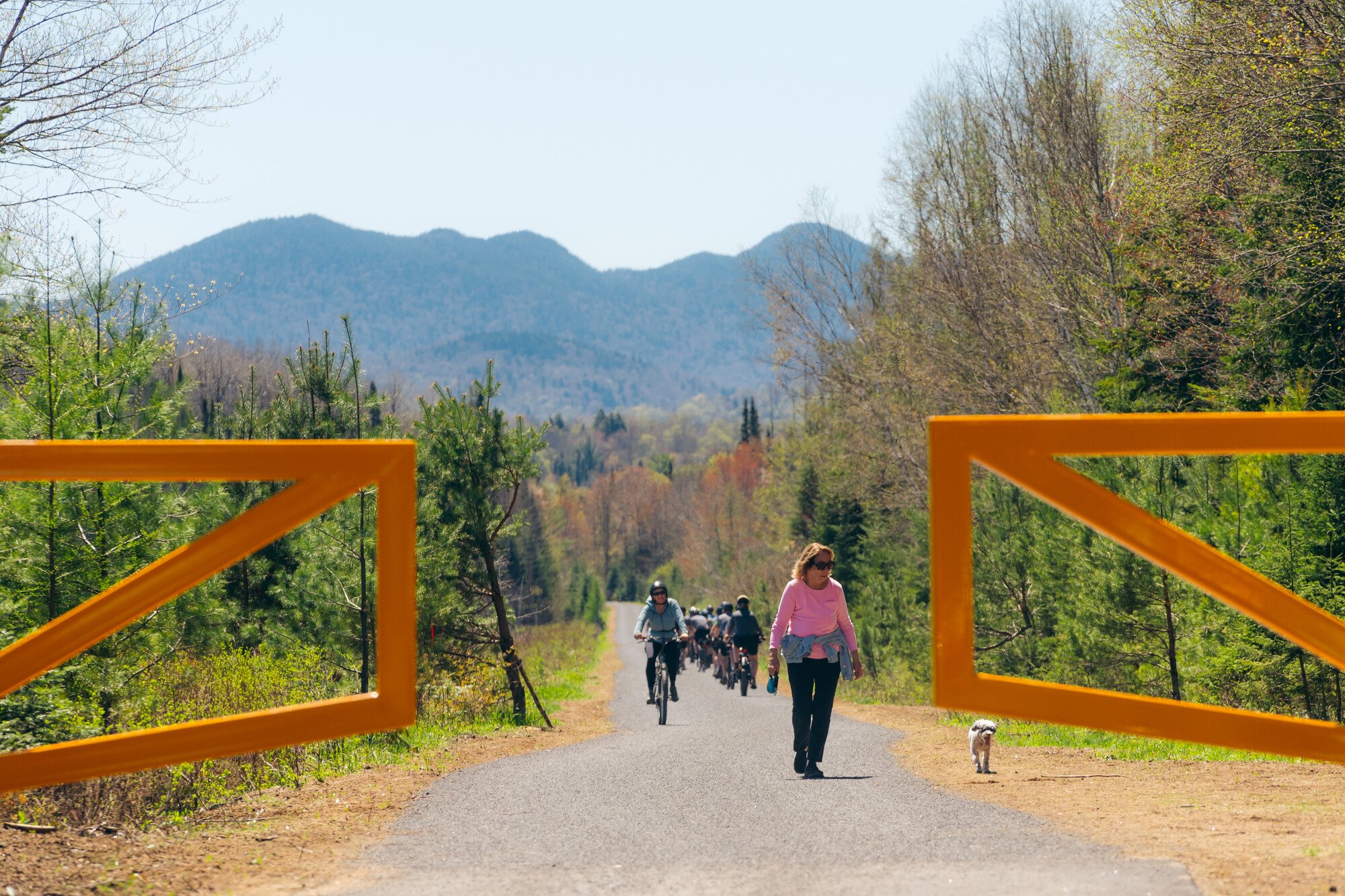 People and a dog walking and biking on the rail trail.