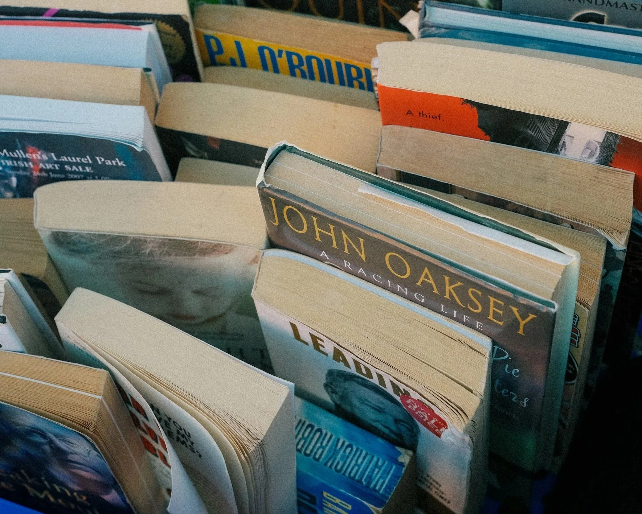 An array of hardcover and softcover books for sale.