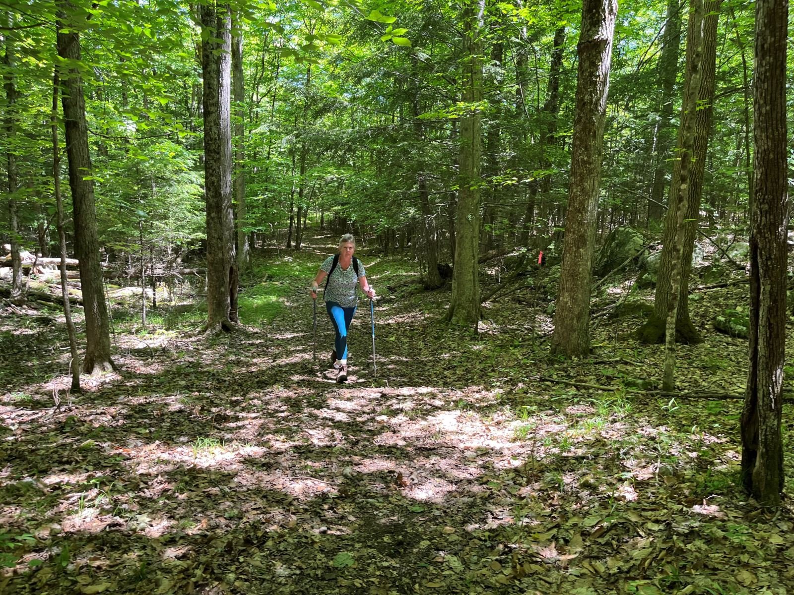 Hiker on Eddy Trail in Adirondack Champlain Valley.