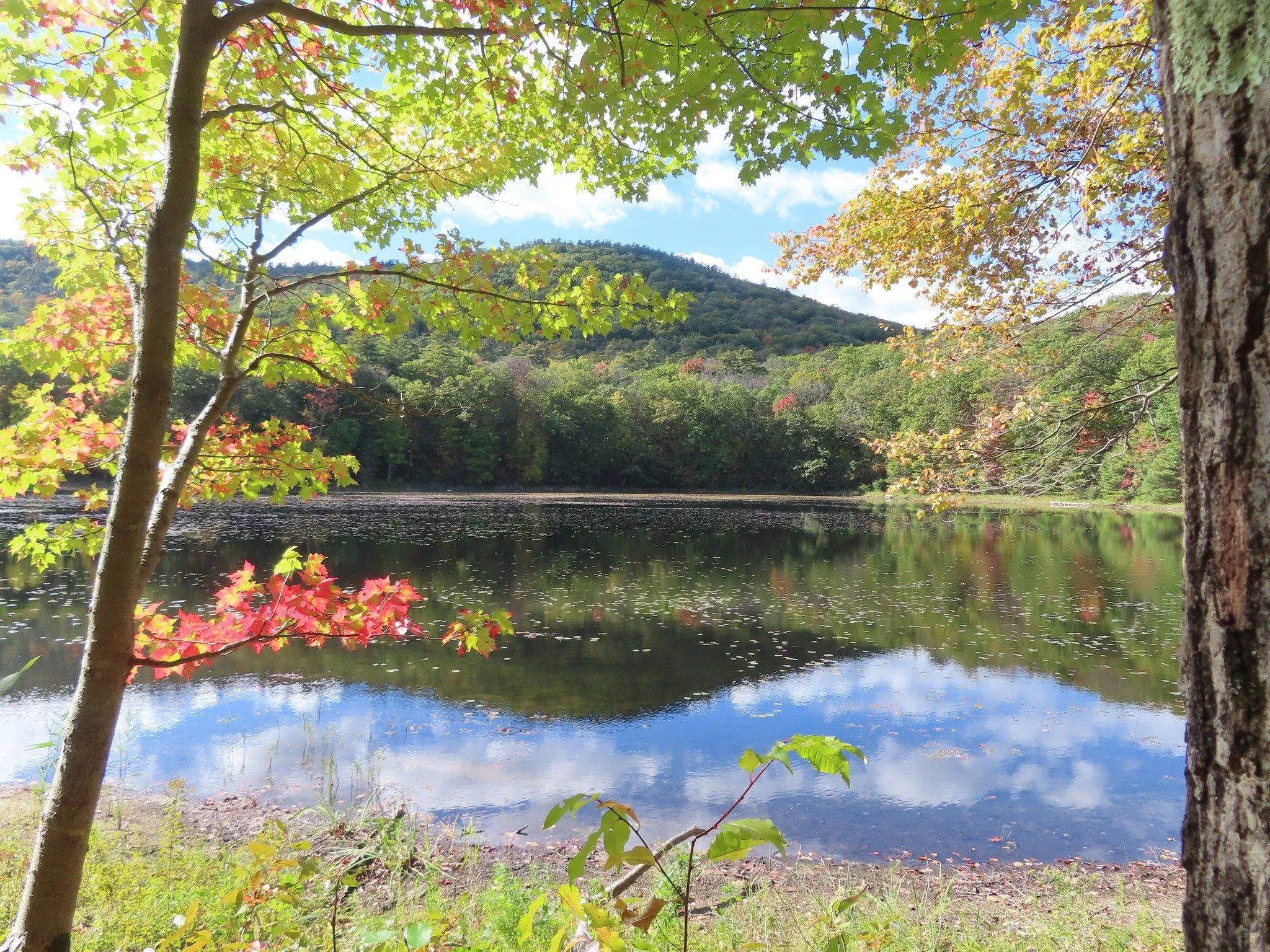 Photo of Moreau Lake State Park in early Fall.