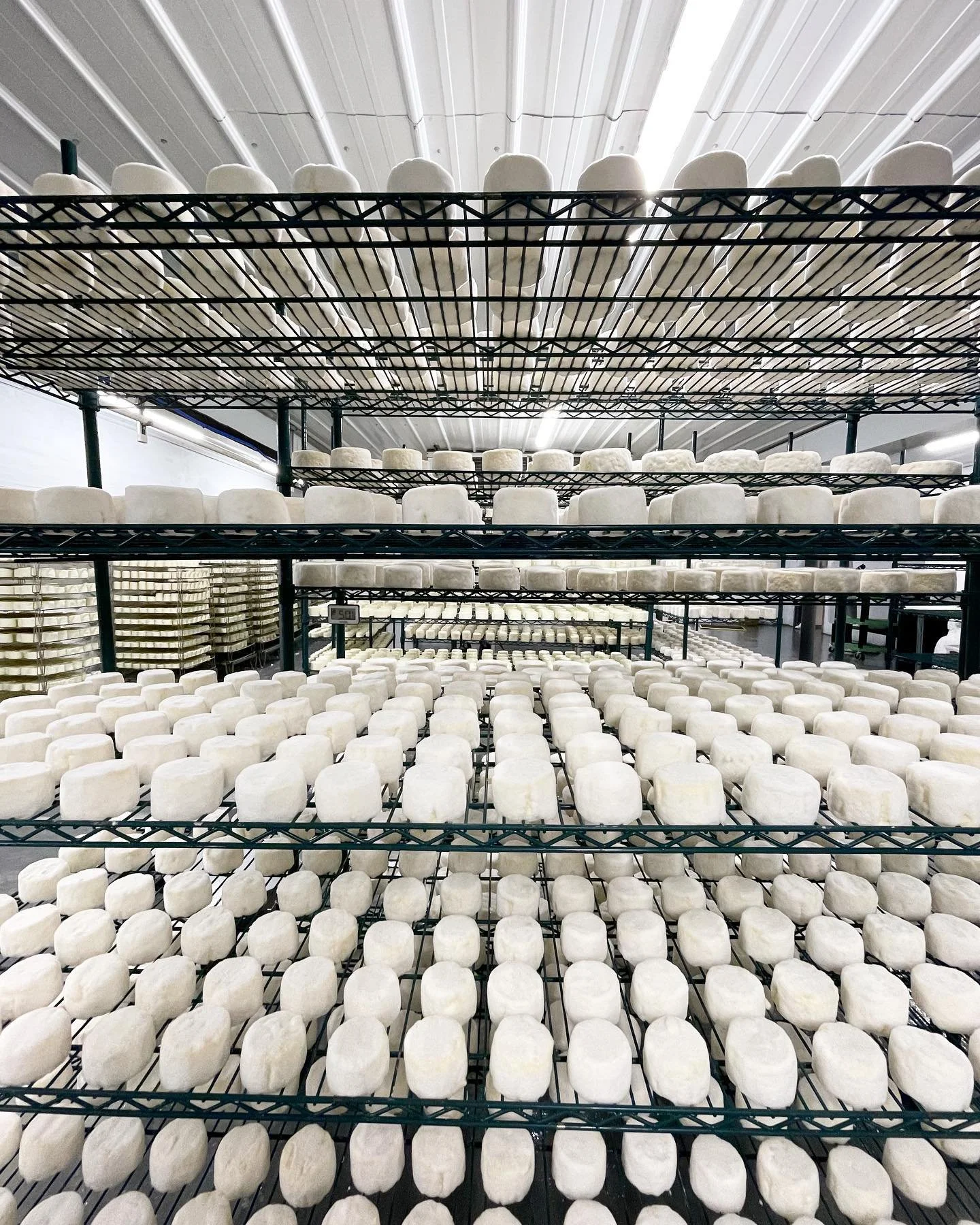 Nettle Meadow's cheese production.