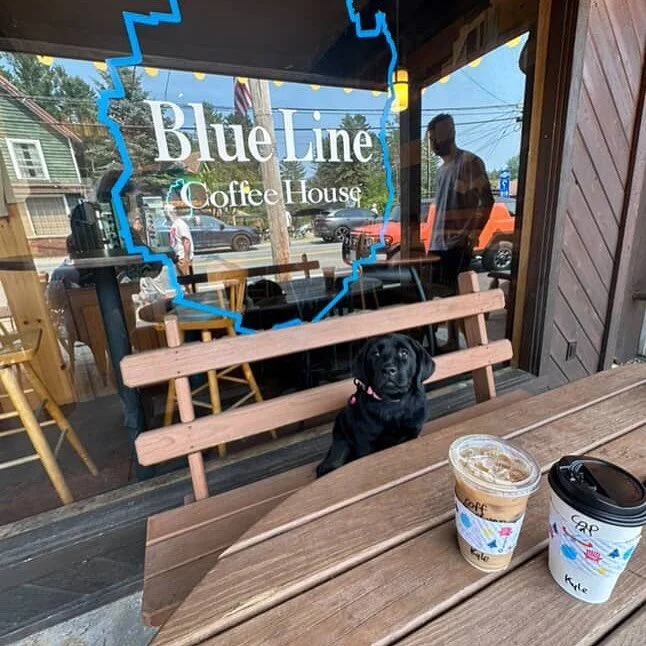 Dog at outside table at Blue LIne Coffee in Old Forge, NY.